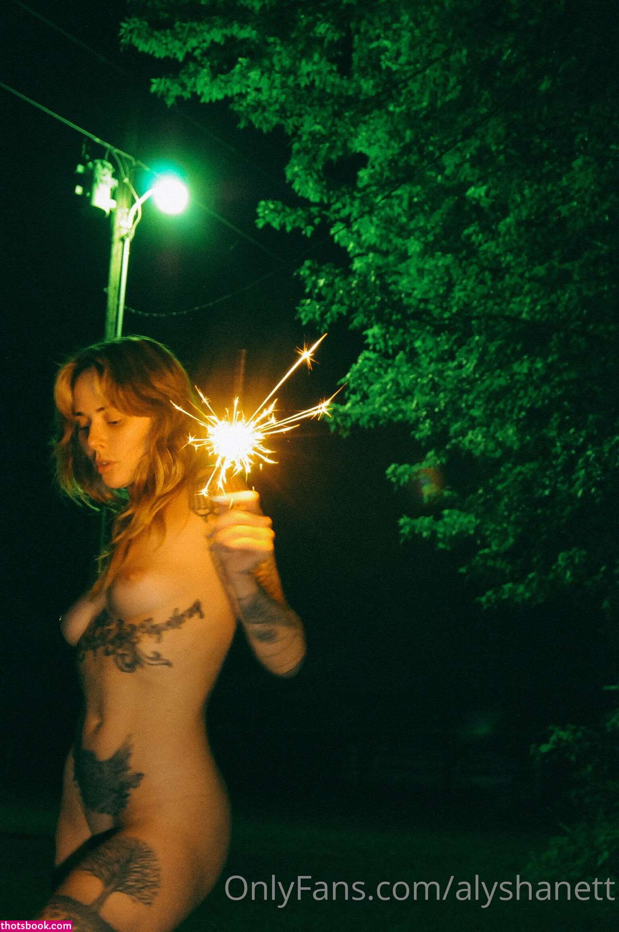 Alysha Nett Nude OnlyFans Photos #3 758188