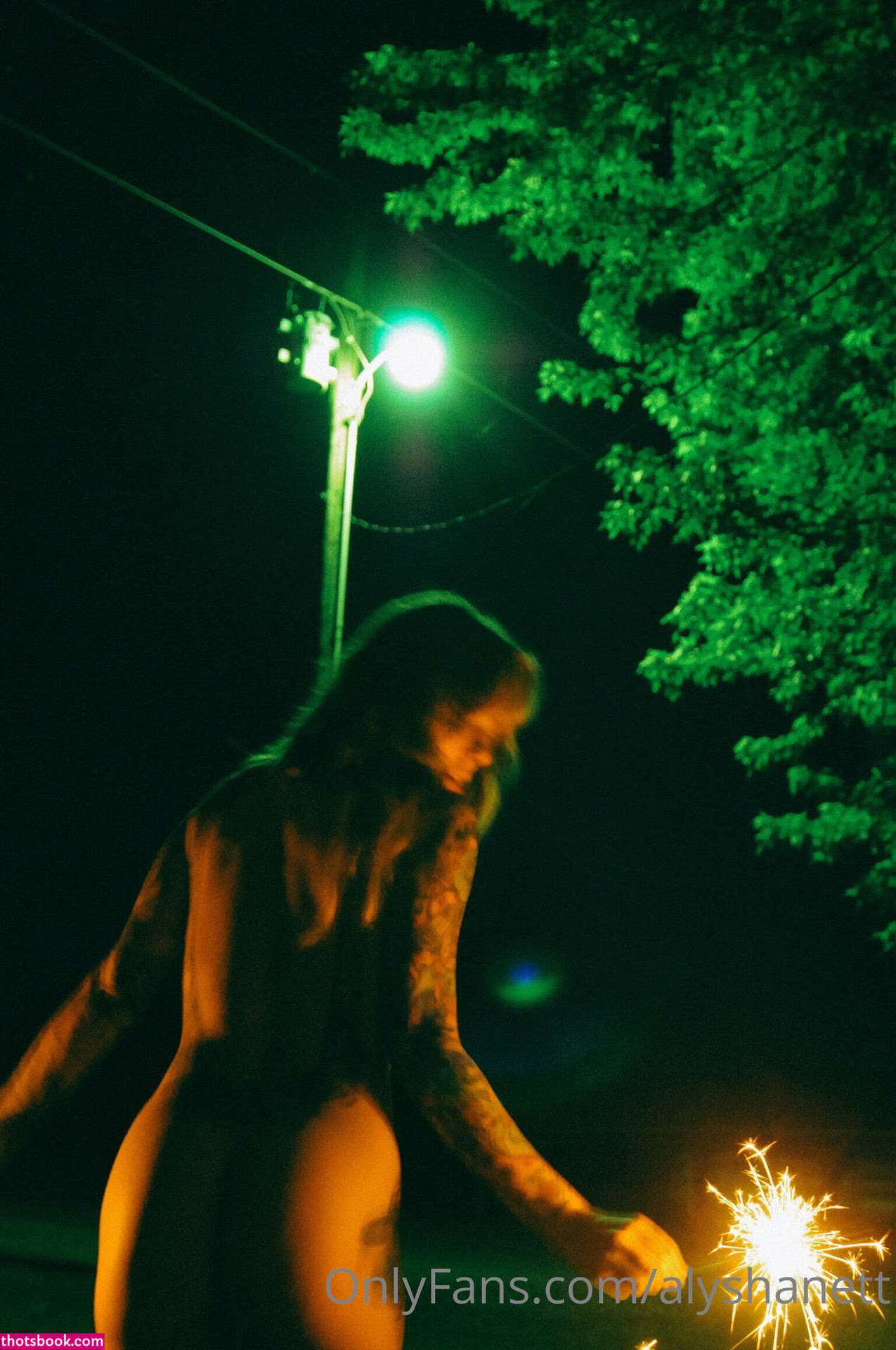 Alysha Nett Nude OnlyFans Photos #3 758190