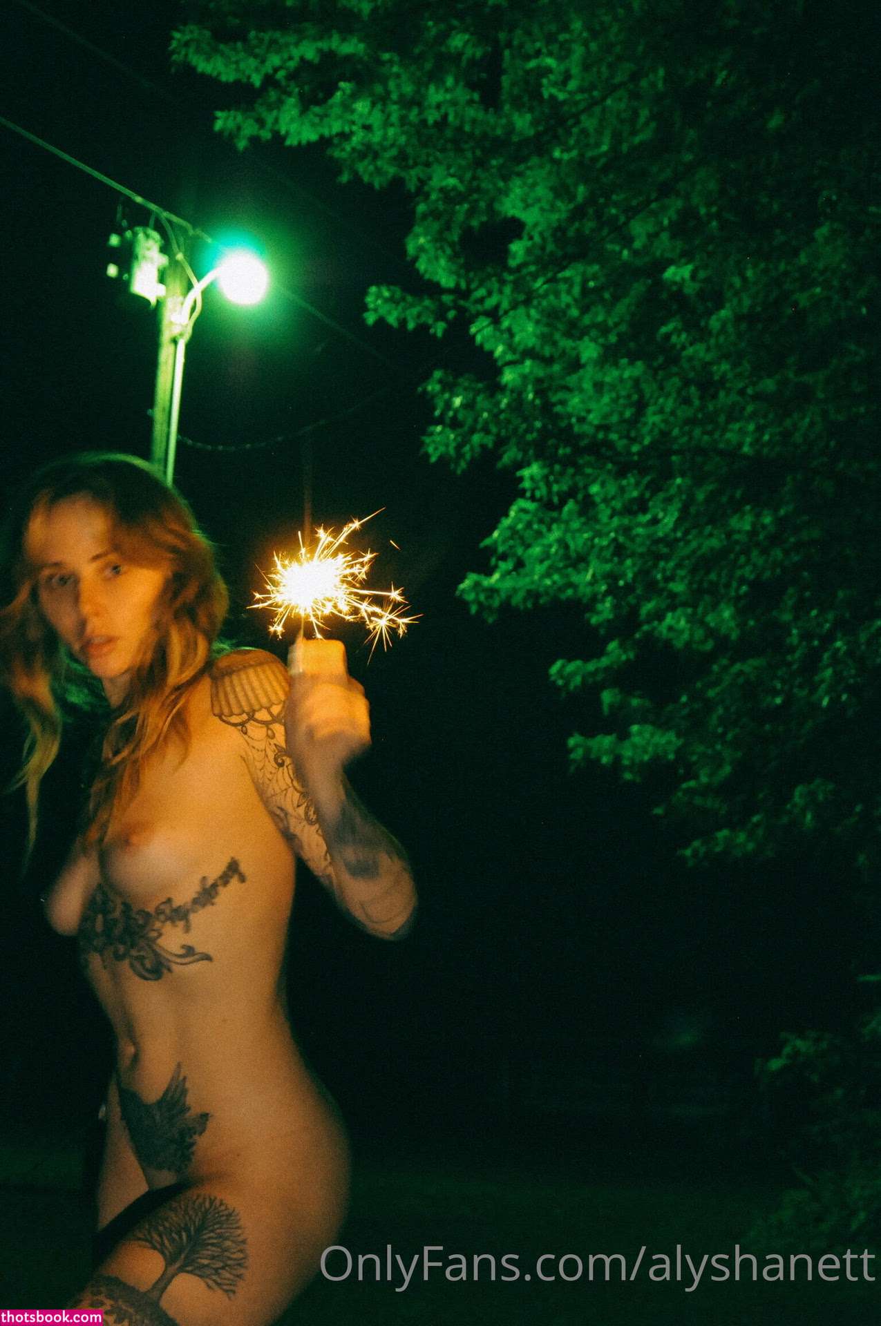 Alysha Nett Nude OnlyFans Photos #3 758194