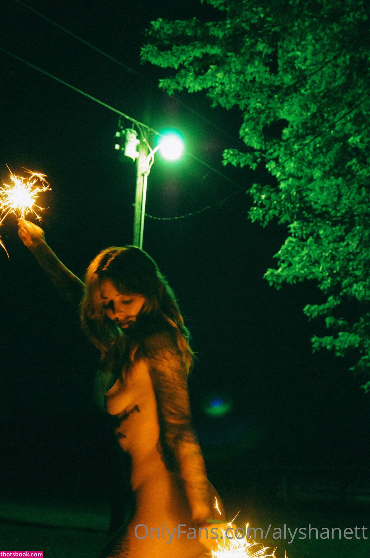 Alysha Nett Nude OnlyFans Photos #3 758196