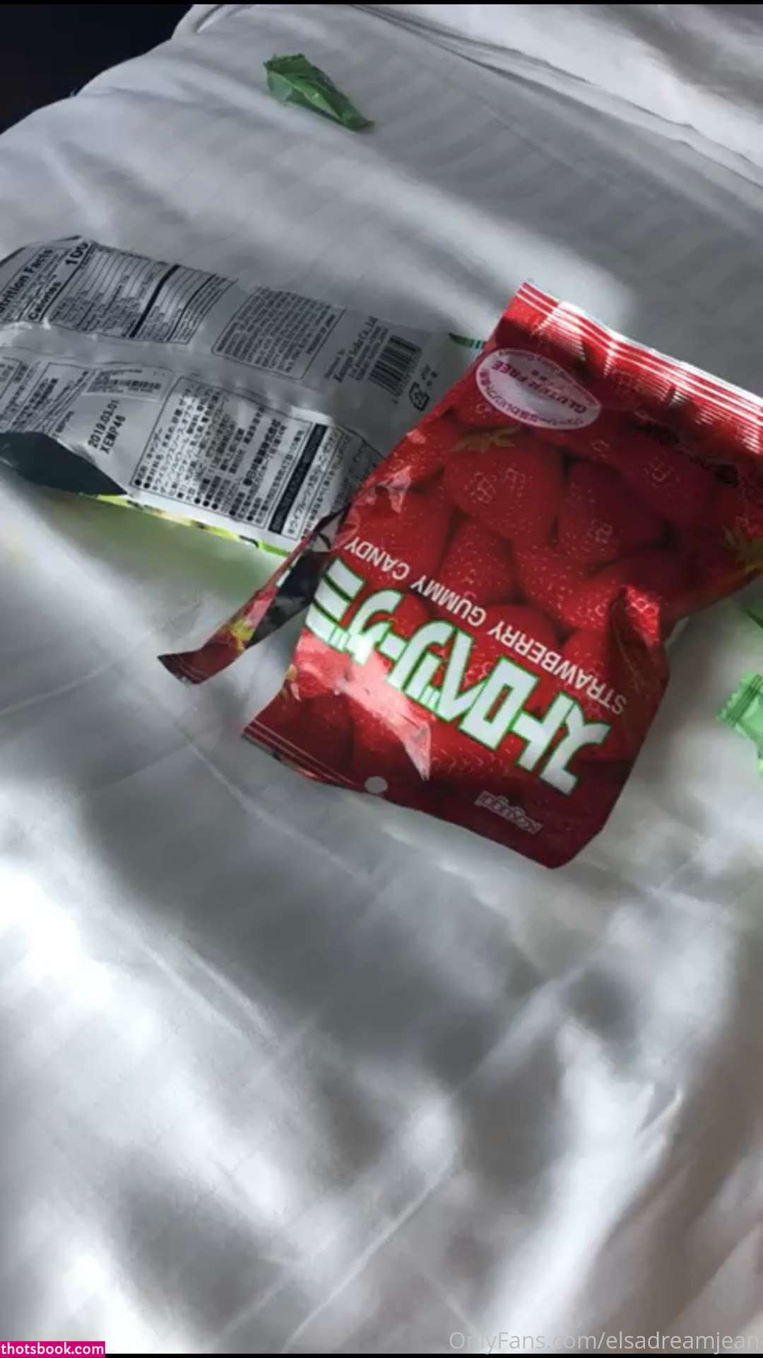 Elsa Jean elsadreamjean Nude OnlyFans Photos #23 760546