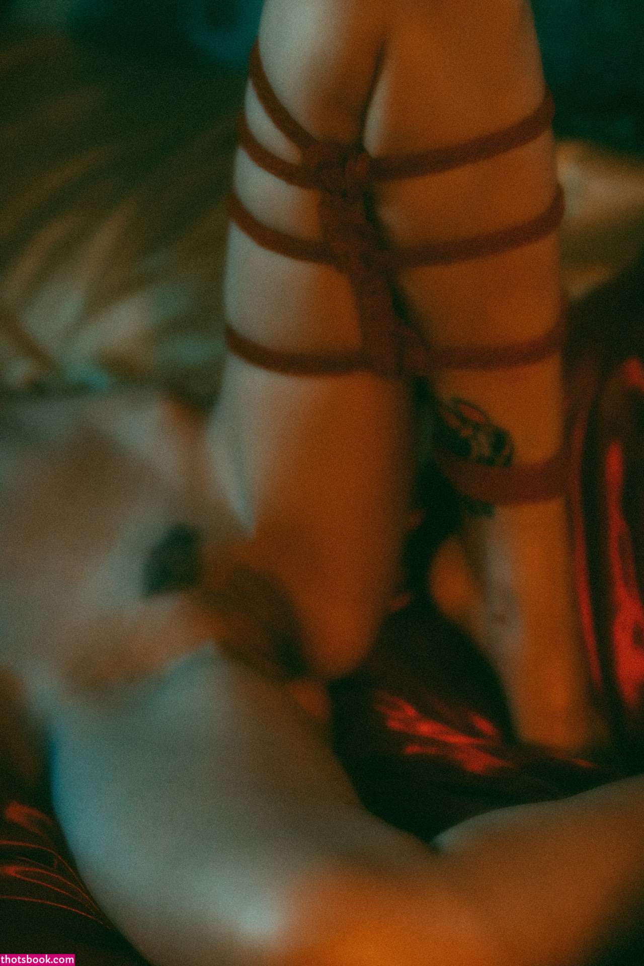 Anna Lisa Wagner Nude OnlyFans Photos #3 780026