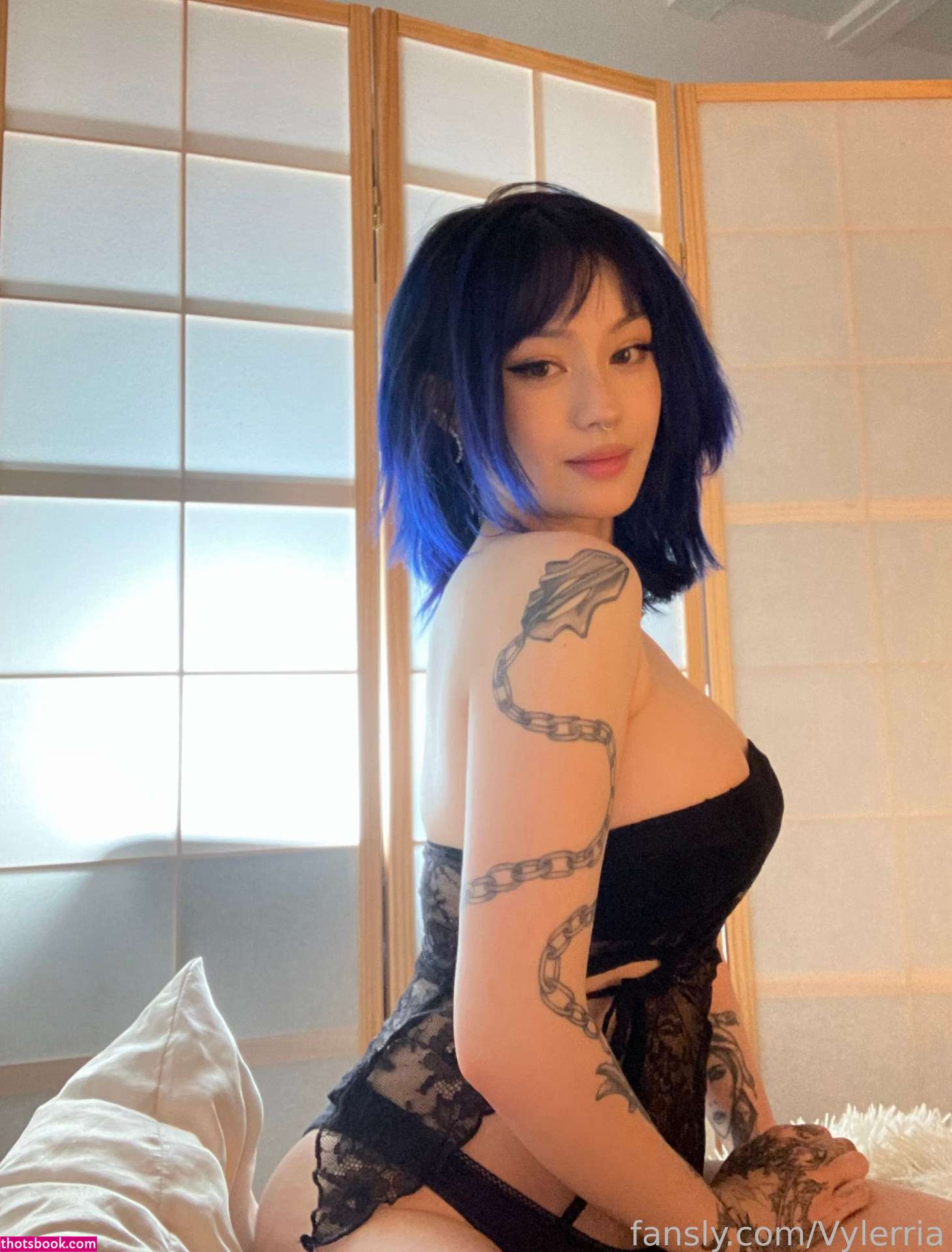 JadeyAnh vylerria Nude OnlyFans Photos #14 800311