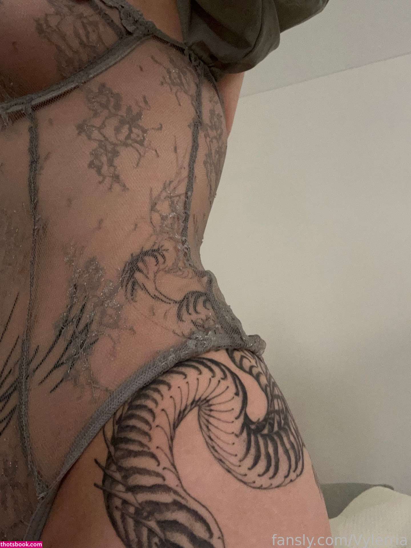 JadeyAnh vylerria Nude OnlyFans Photos #14 800314