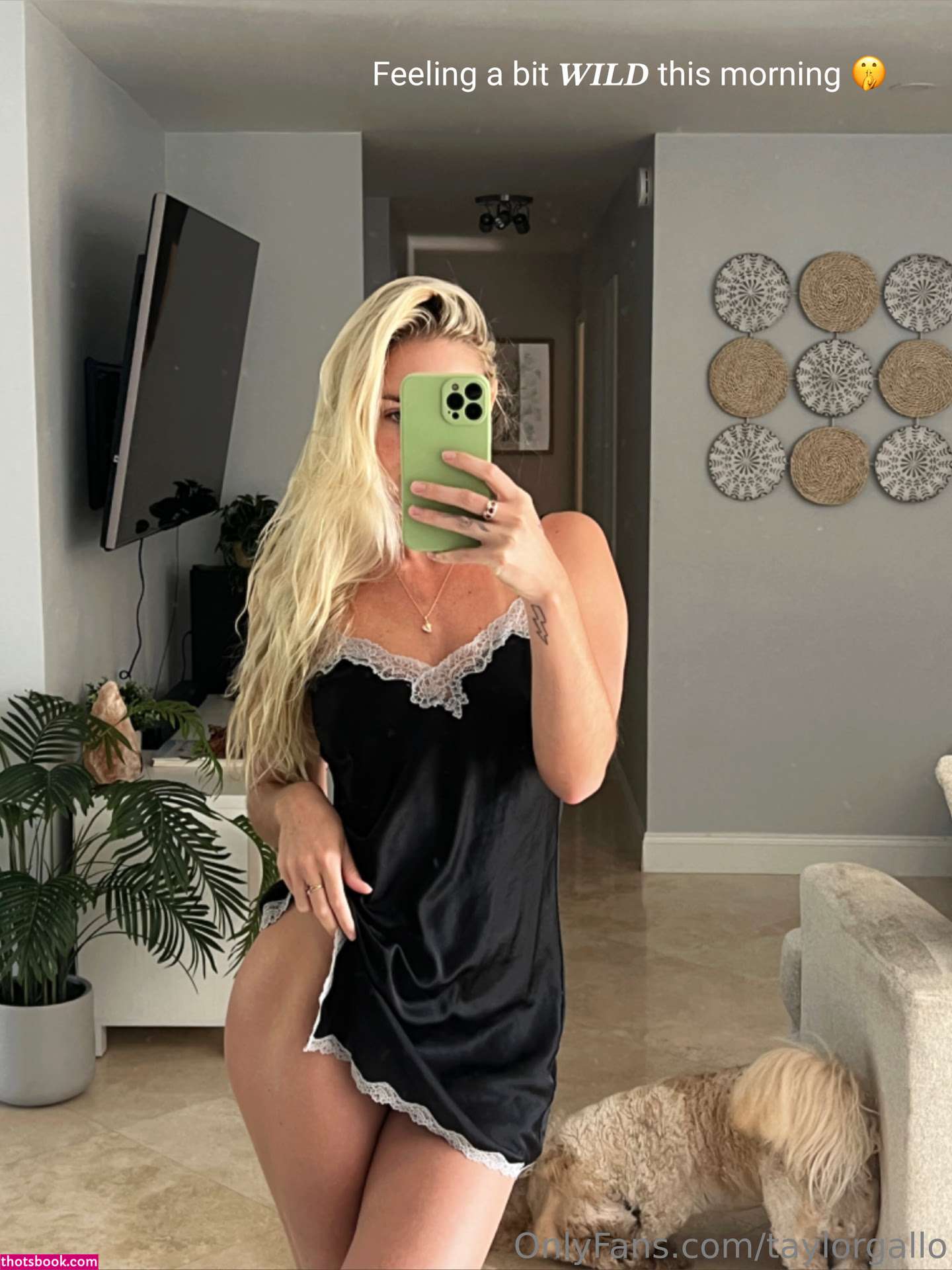 Taylor Gallo Nude OnlyFans Photos #32 746475