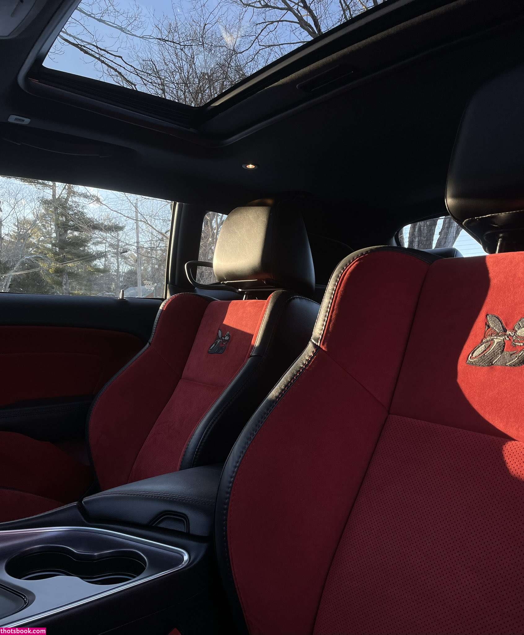 Justine Schiavone satansbabydoll666 Nude OnlyFans Photos #11 727909