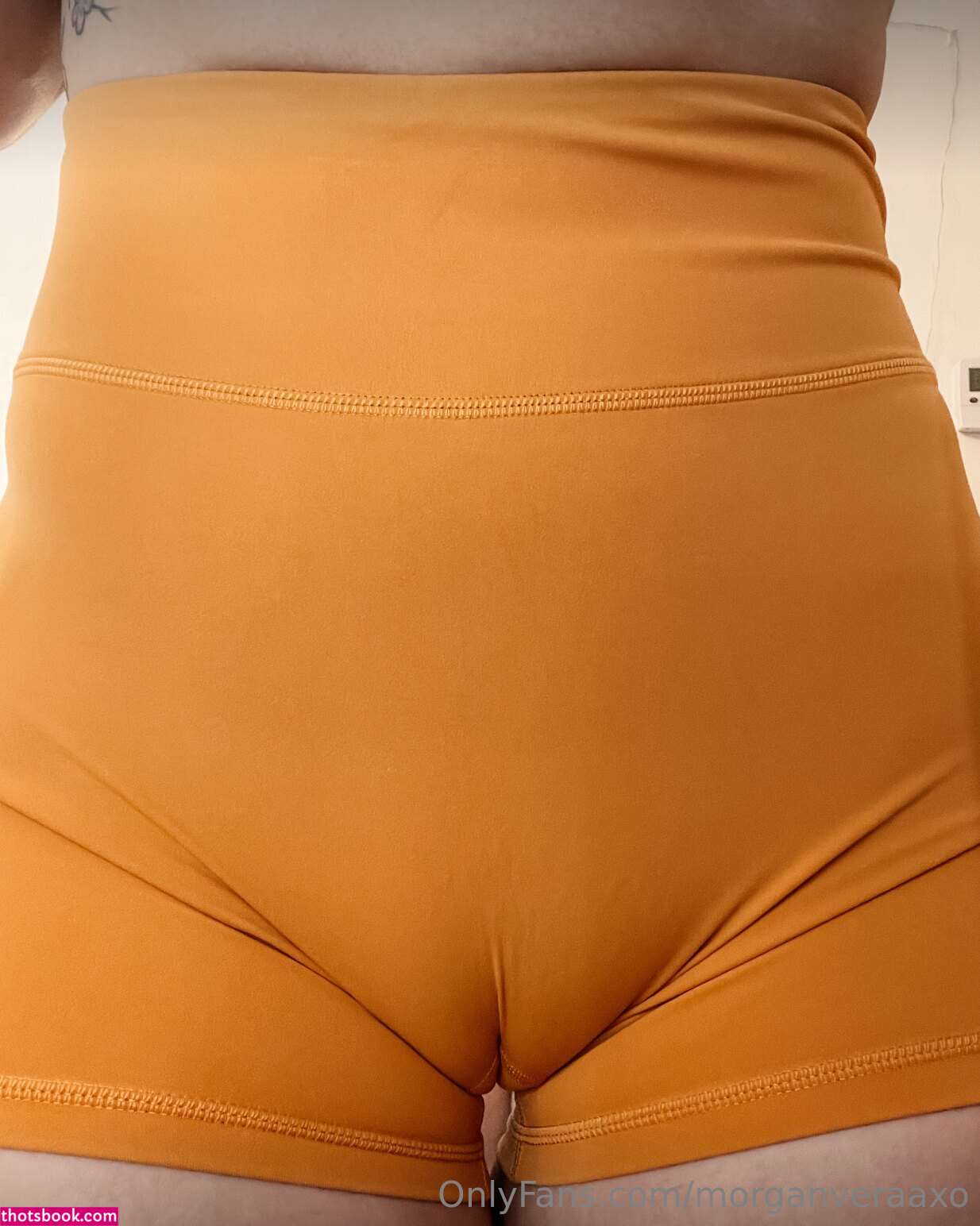 Morgan Vera Nude OnlyFans Photos #12 768951