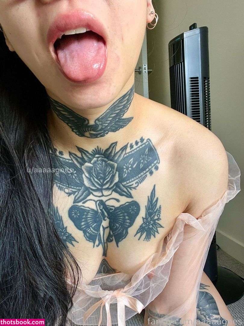Aaaaagnes Nude OnlyFans Photos #2 806845