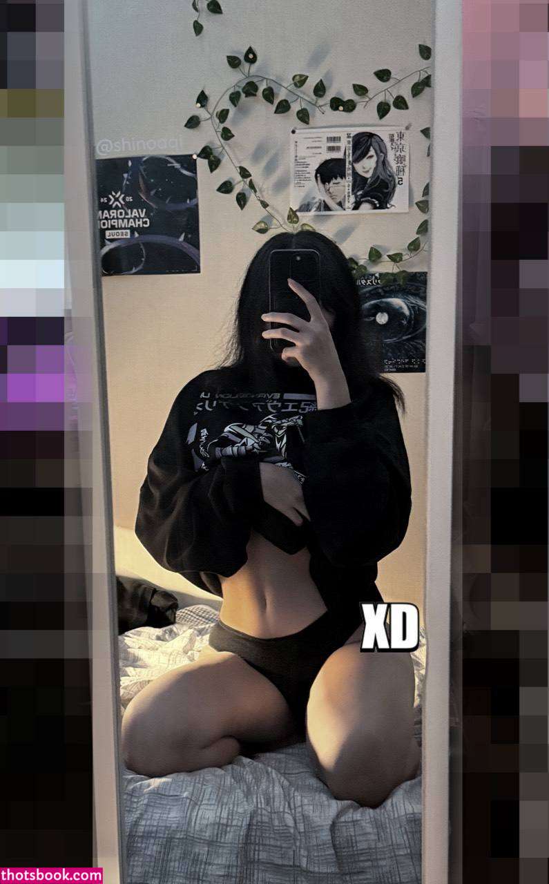 shinoaqi Nude Leaks OnlyFans Photos #5 1595390