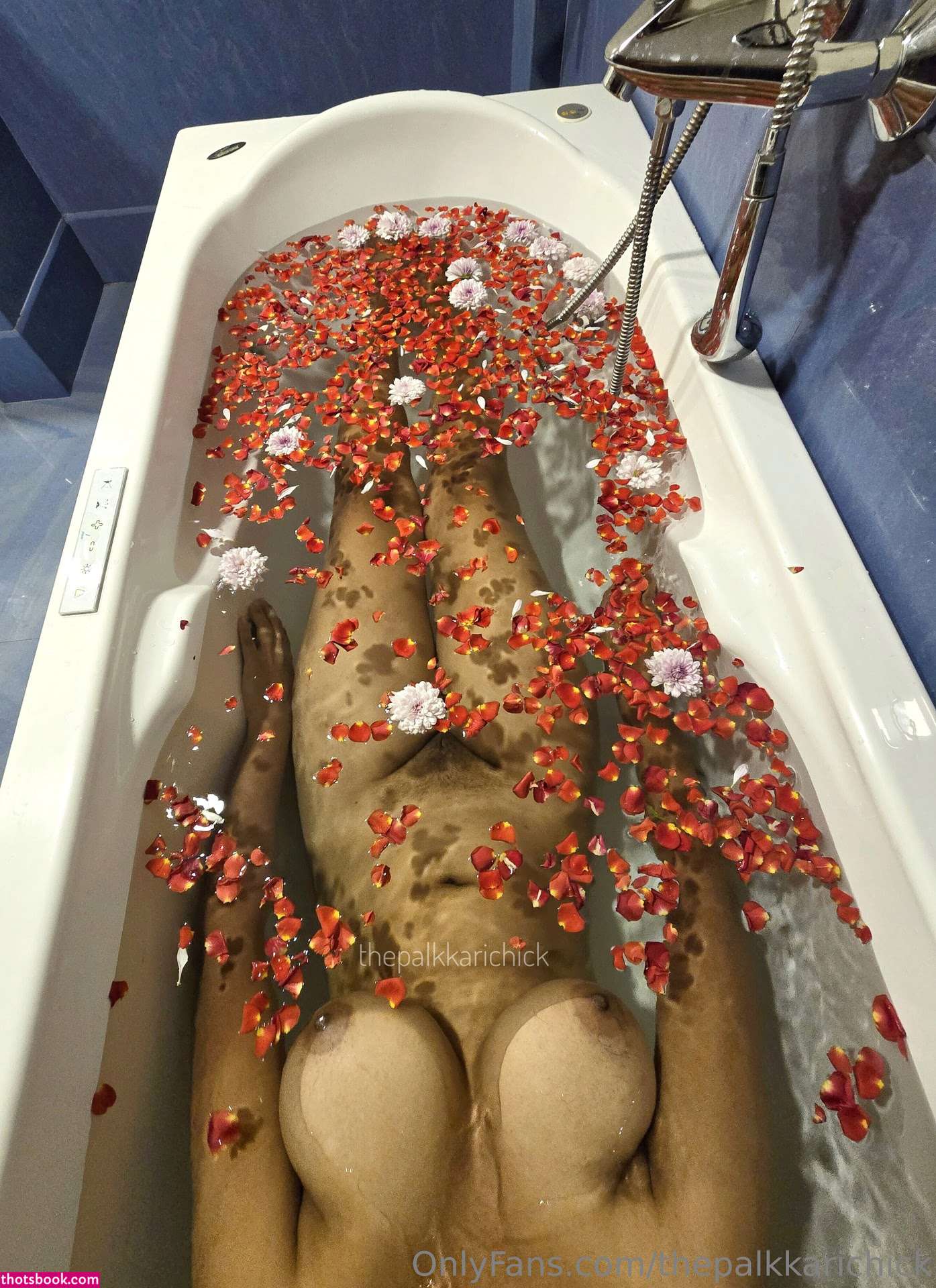 thepalkkarichick Nude Leaks OnlyFans Photos #5 1587542