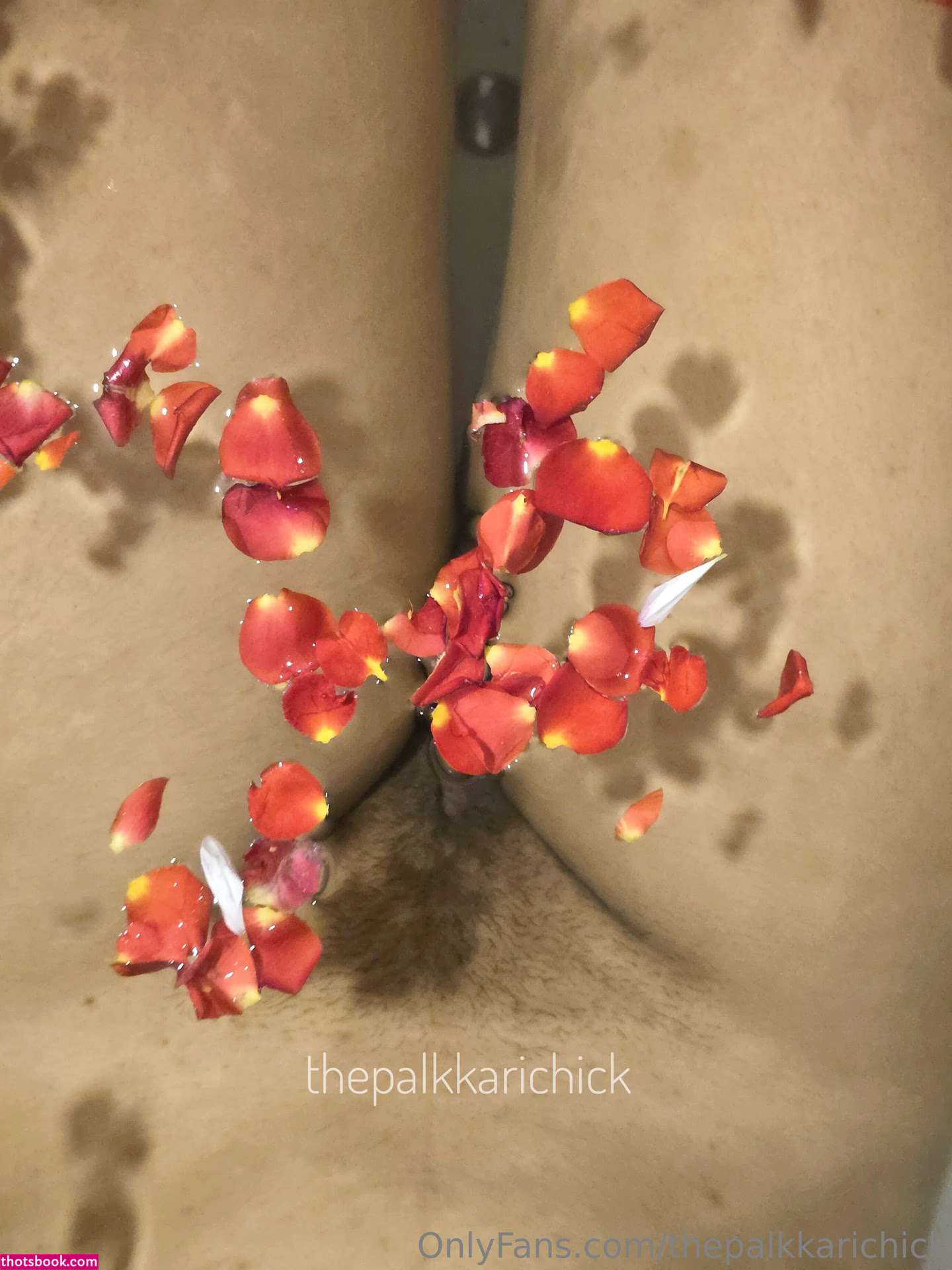 thepalkkarichick Nude Leaks OnlyFans Photos #5 1587543