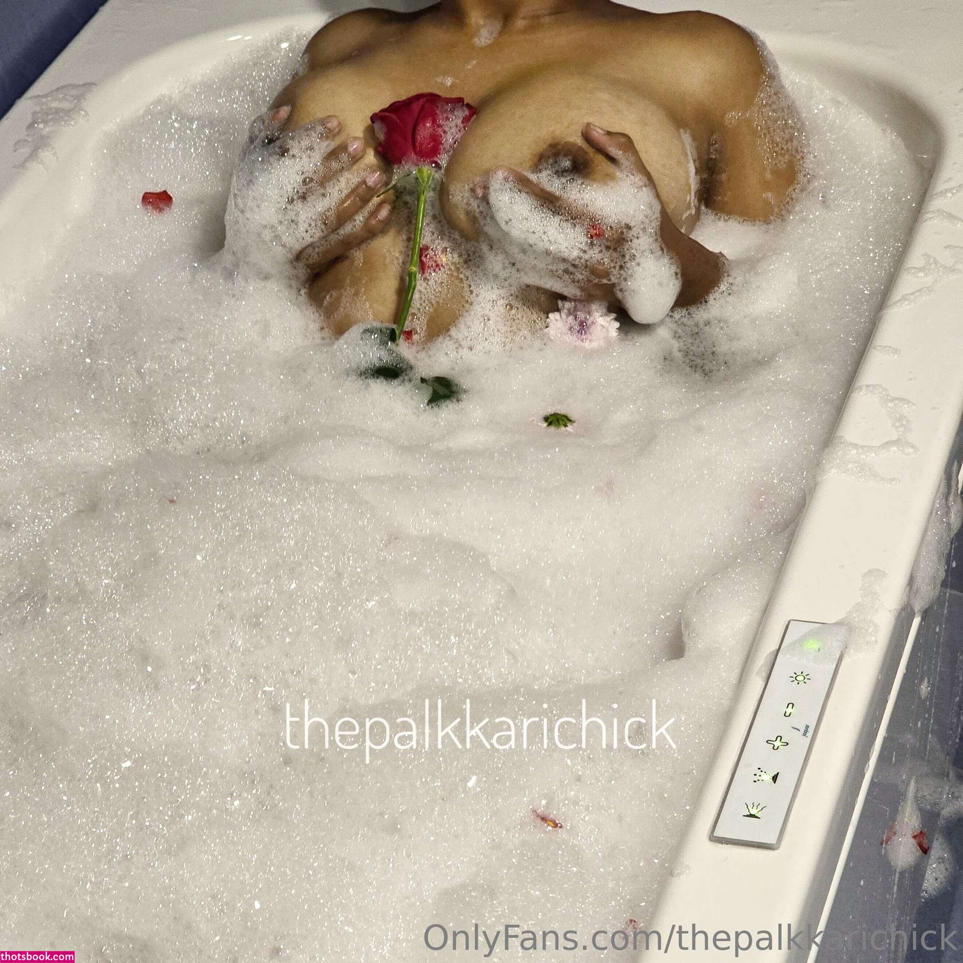 thepalkkarichick Nude Leaks OnlyFans Photos #5 1587549