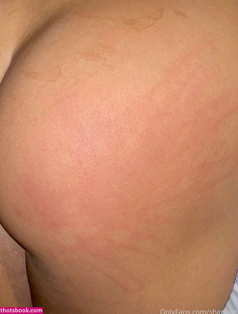 Shanbae Shan nkl Shannon Lee Nude Leaks OnlyFans Photos #3 1589417