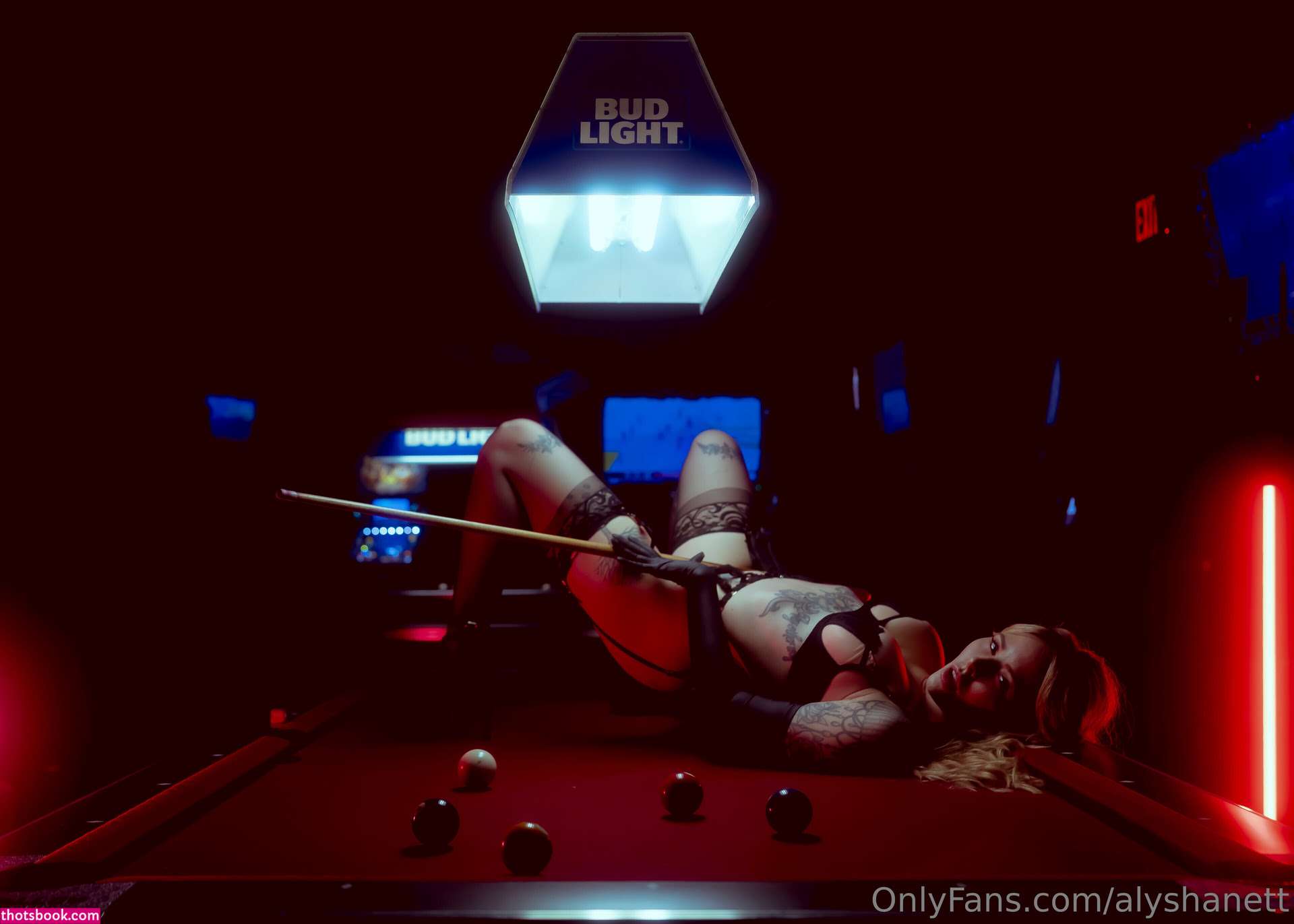 Alysha Nett Nude Leaks OnlyFans Photos #33 1616425