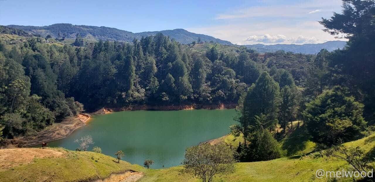 Melwood Onlyfans Nudes 68277