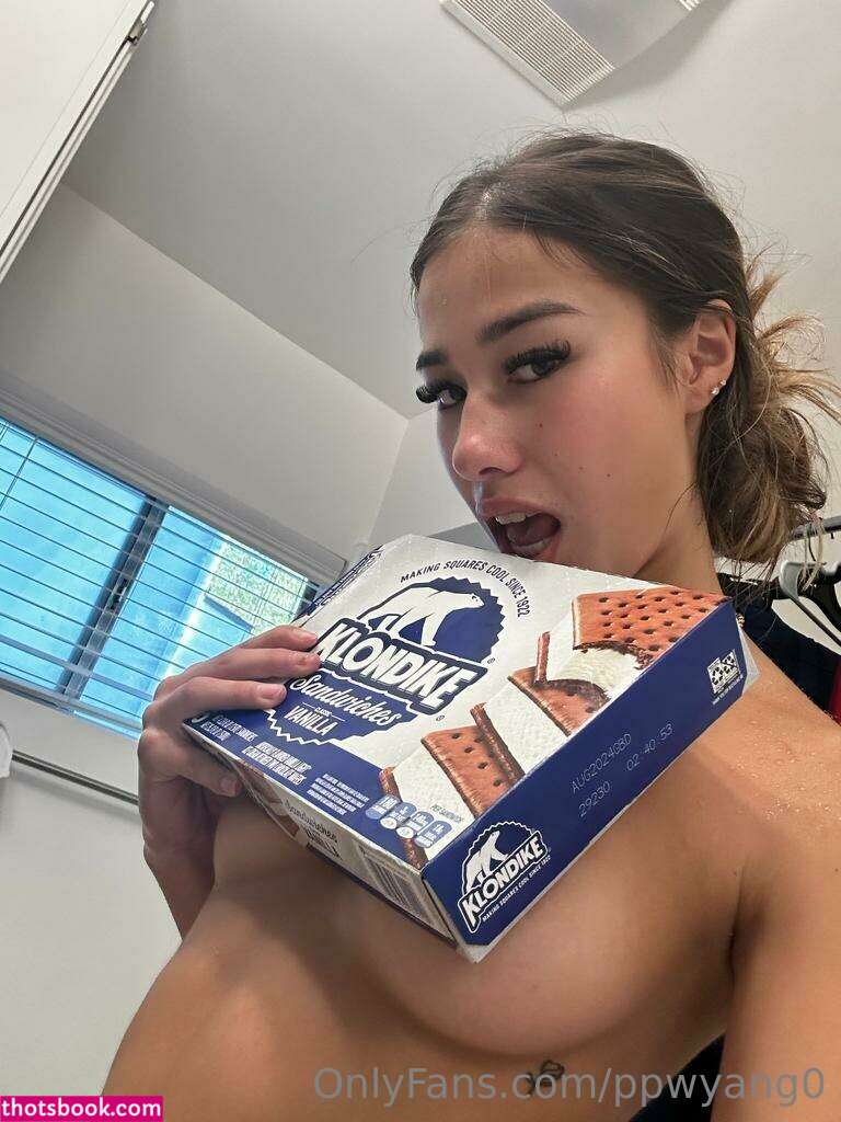 ppwyang Nude OnlyFans Photos #4 411829