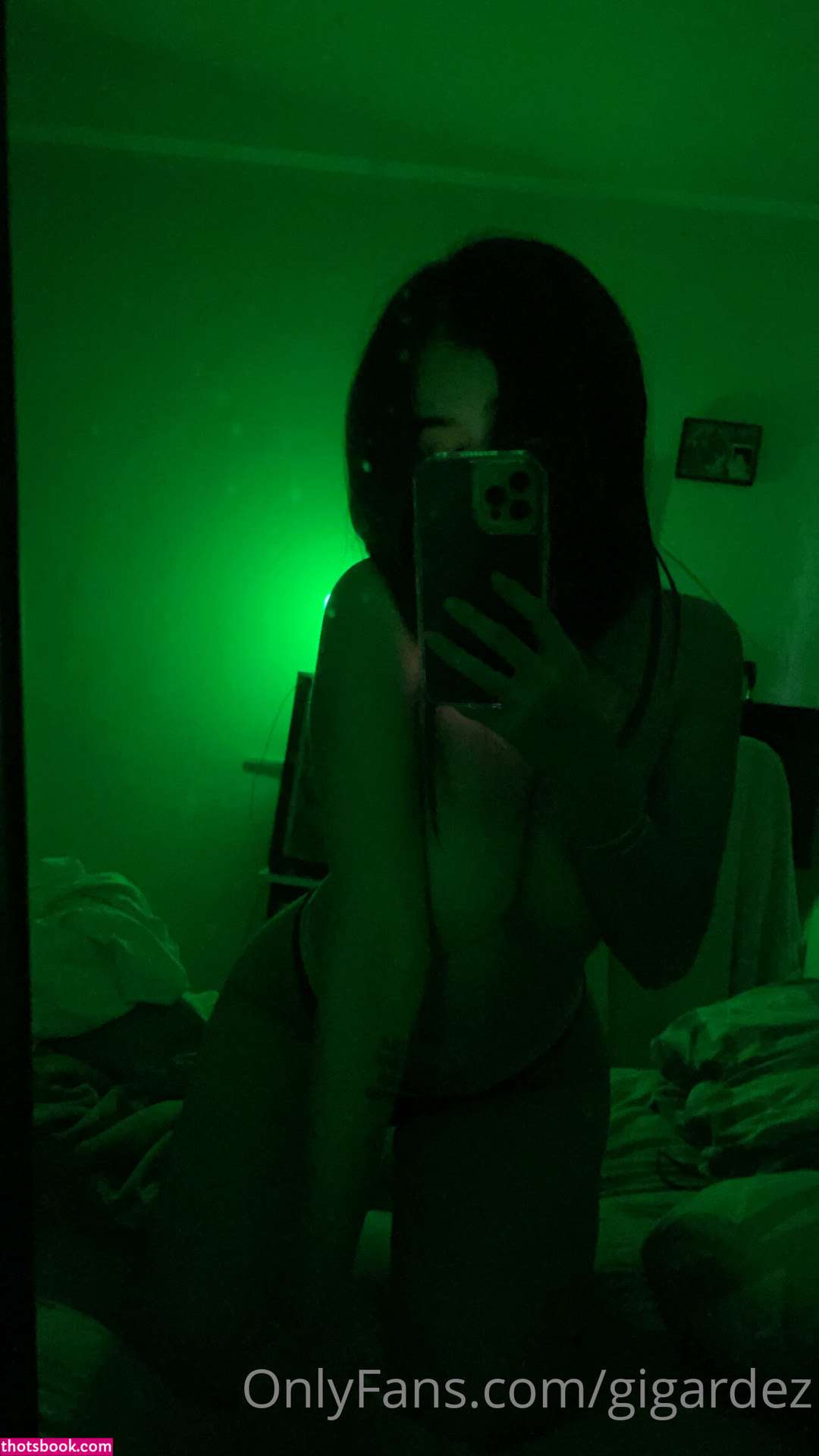 Gabygardez gaberga Nude OnlyFans Photos #1 384815