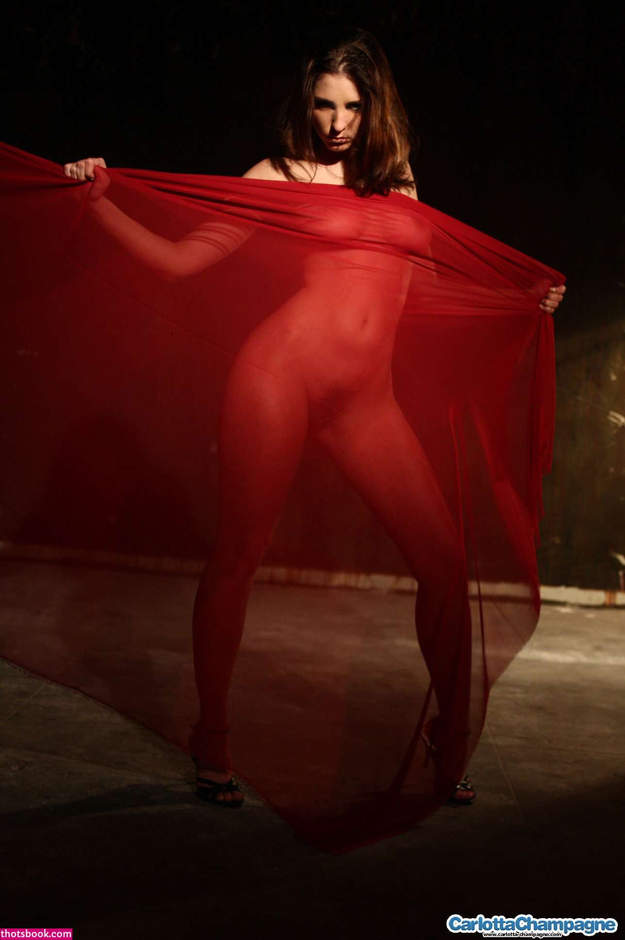 Carlotta Champagne Nude OnlyFans Photos #11 403062