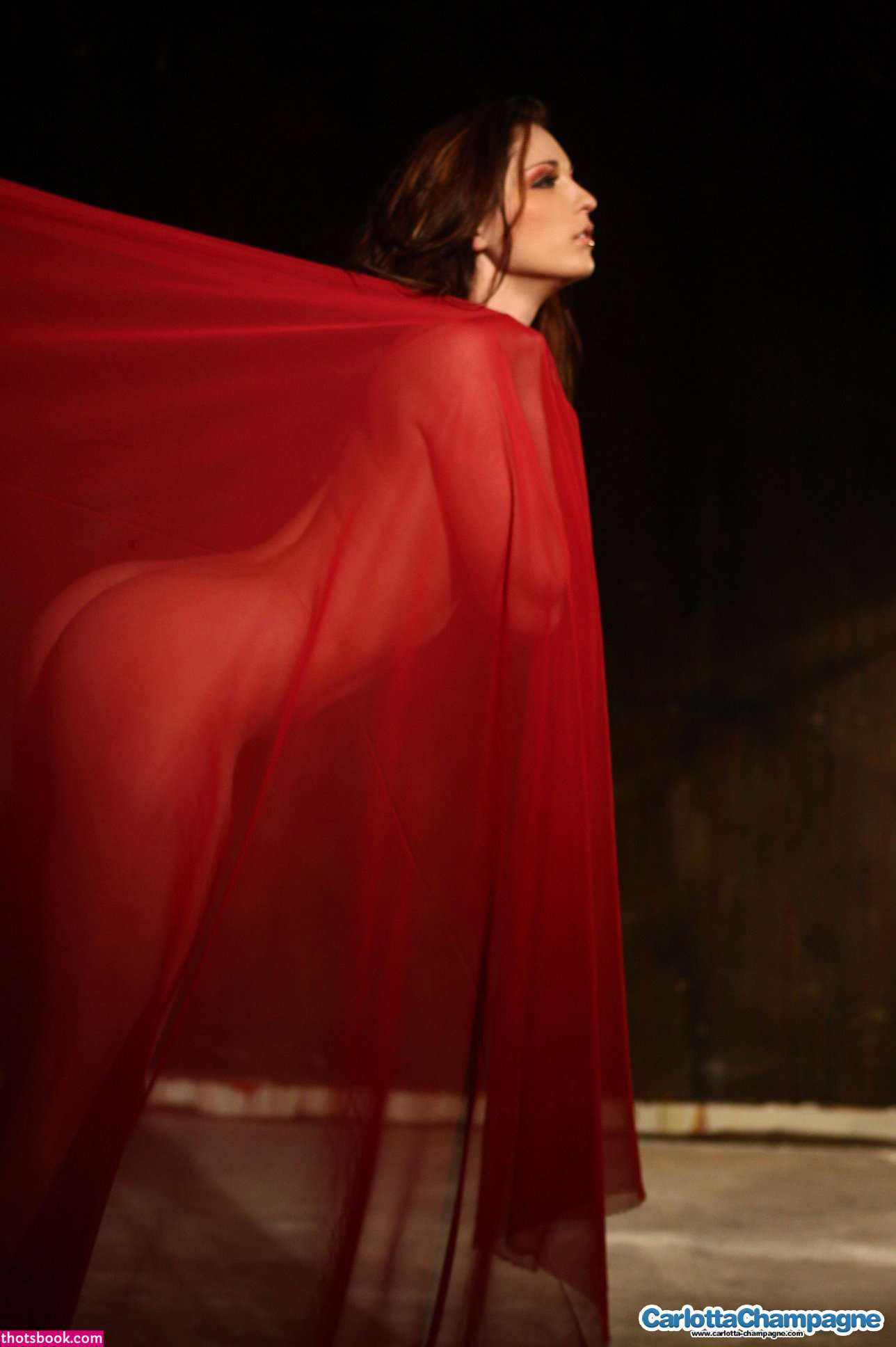Carlotta Champagne Nude OnlyFans Photos #11 403086