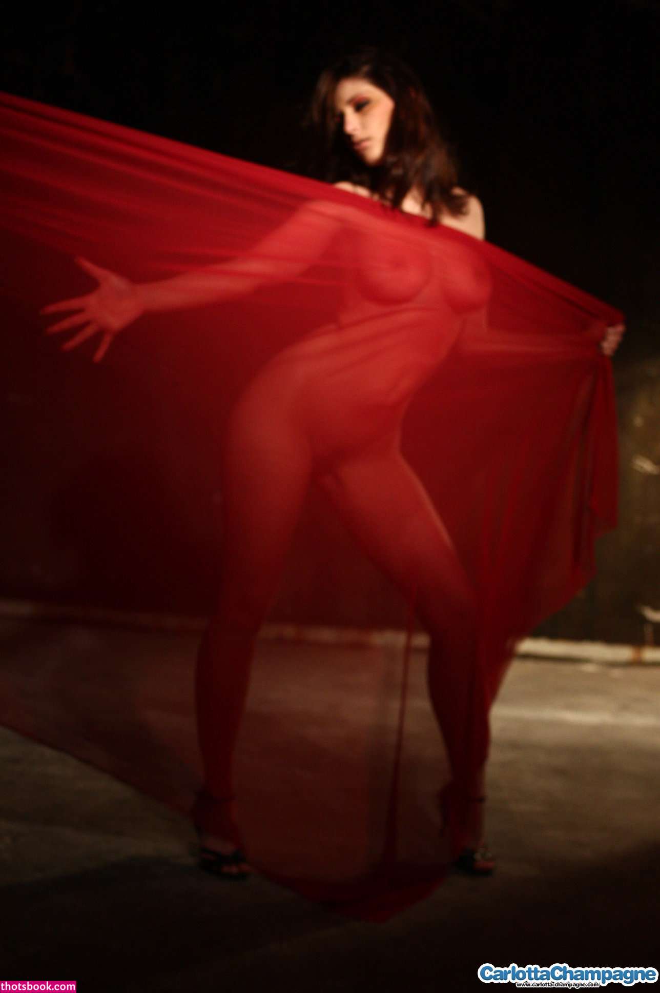 Carlotta Champagne Nude OnlyFans Photos #11 403087