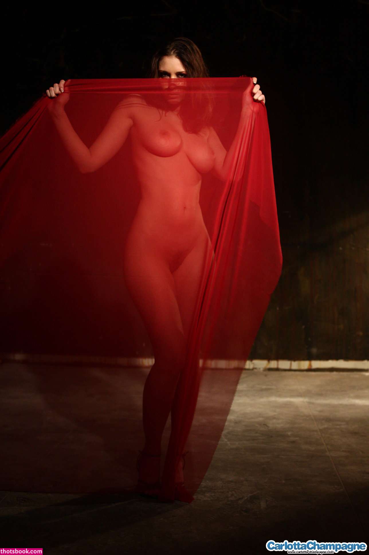 Carlotta Champagne Nude OnlyFans Photos #11 403091