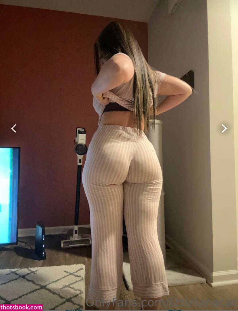 Littlelanacat Nude OnlyFans Photos #8 404444