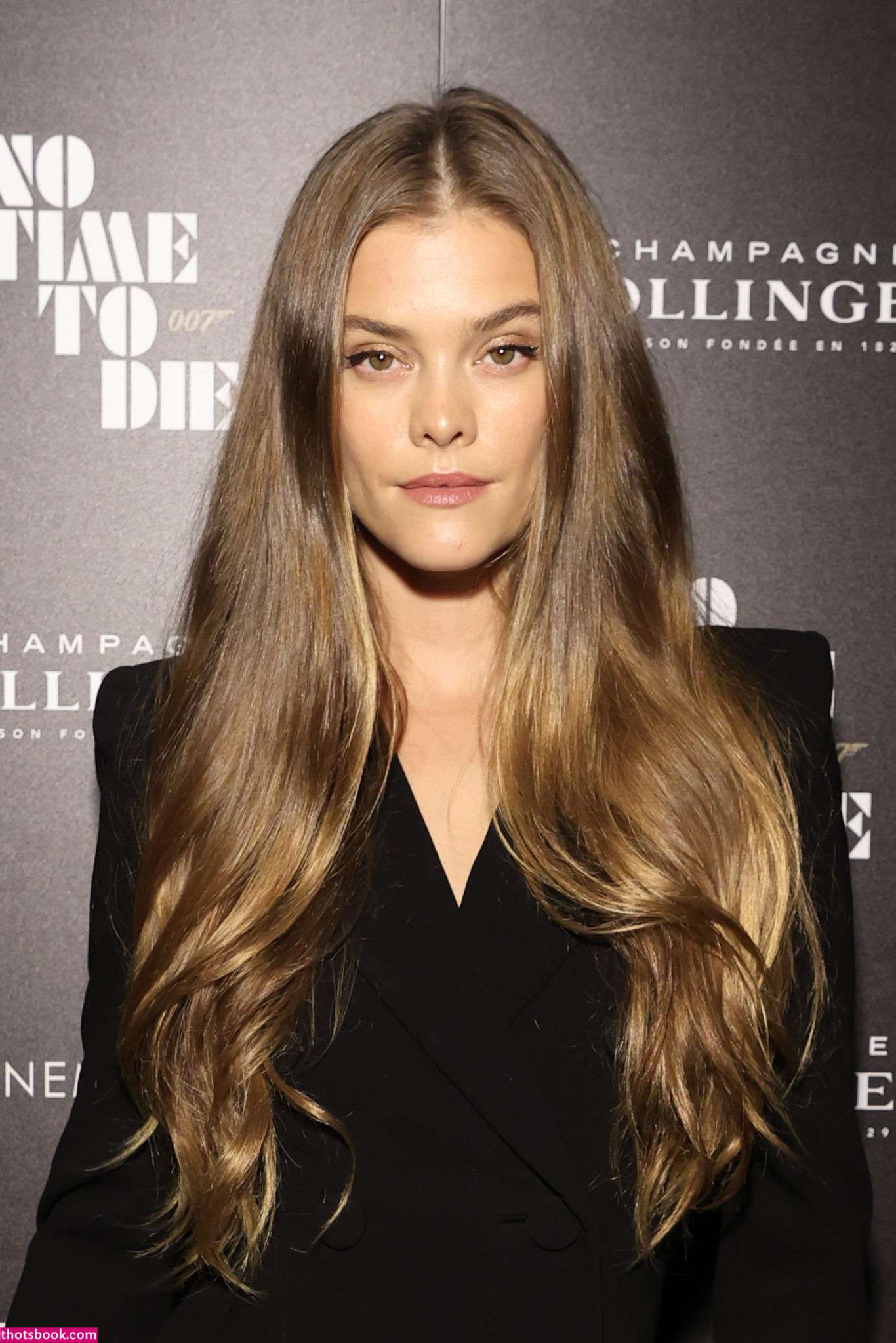 Nina Agdal Nude OnlyFans Photos #7 408452