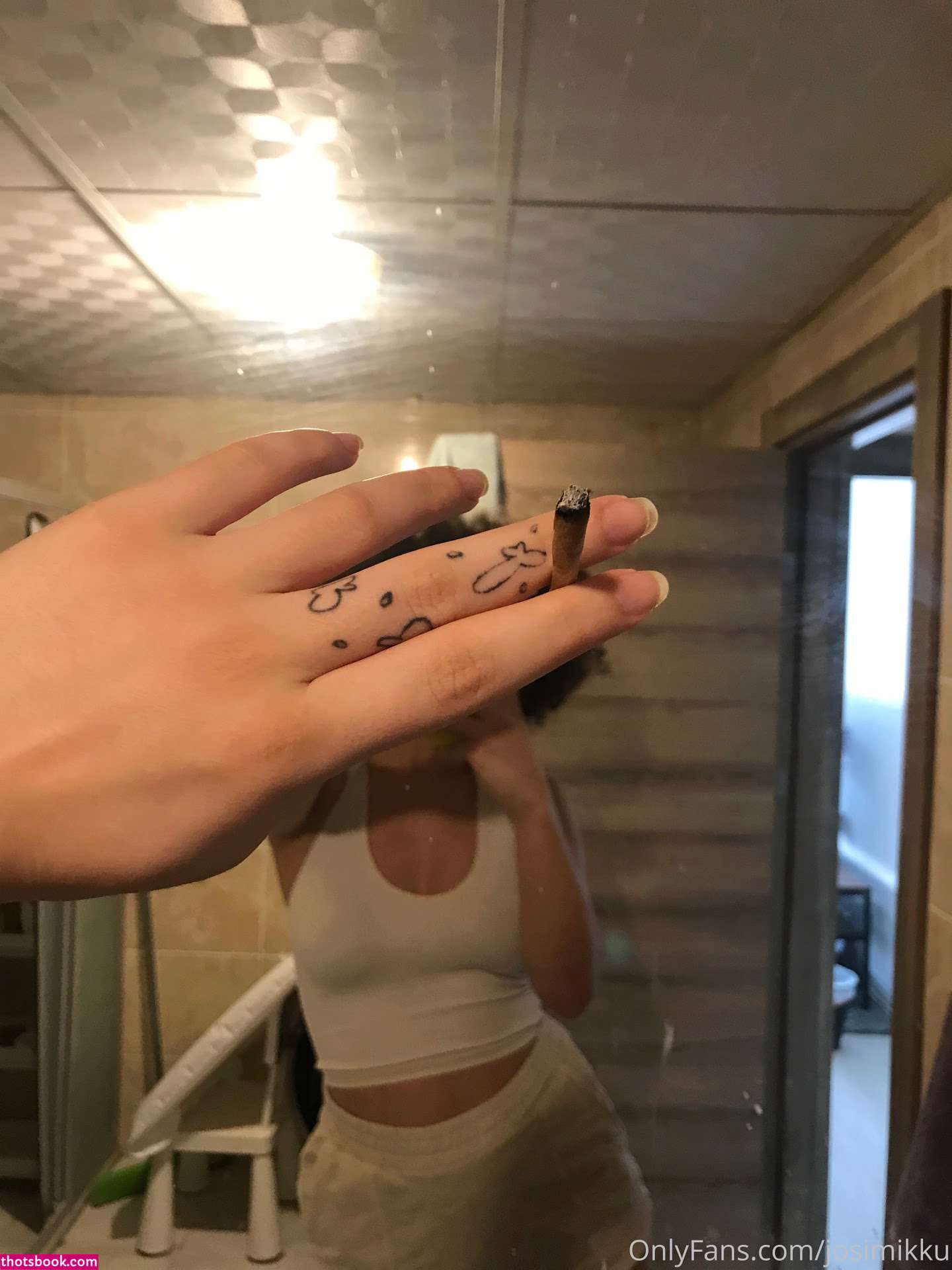 JosiMikku Nude OnlyFans Photos #8 1233438