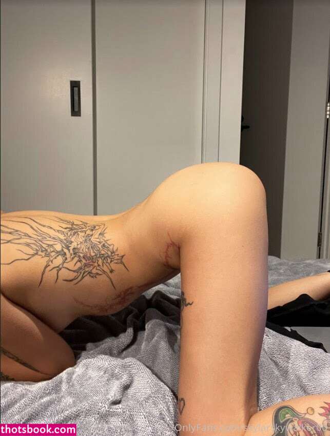 Skywalker Nude OnlyFans Photos #15 1235307