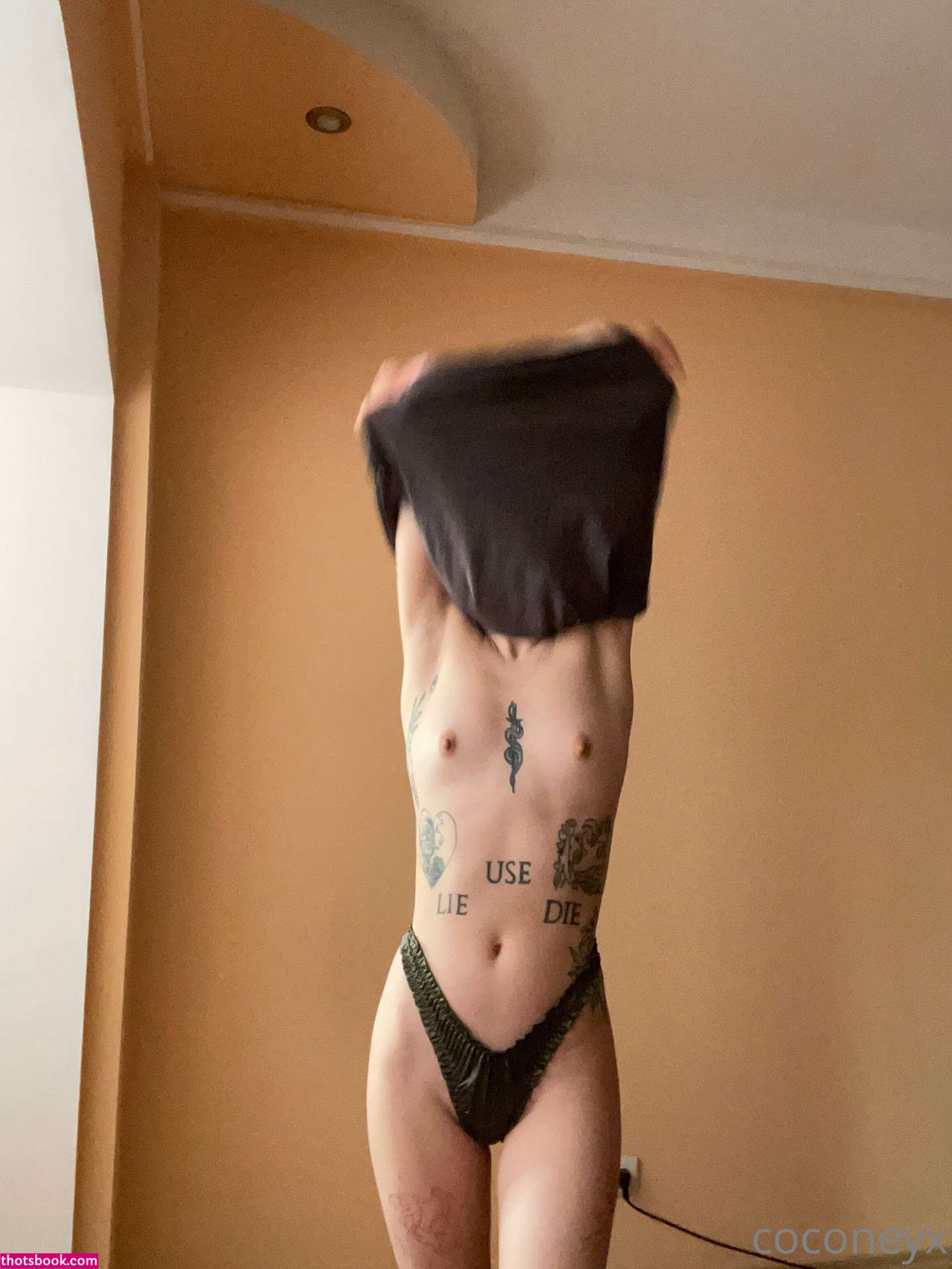 COCONEY coconeyx Nude OnlyFans Photos #15 1187196