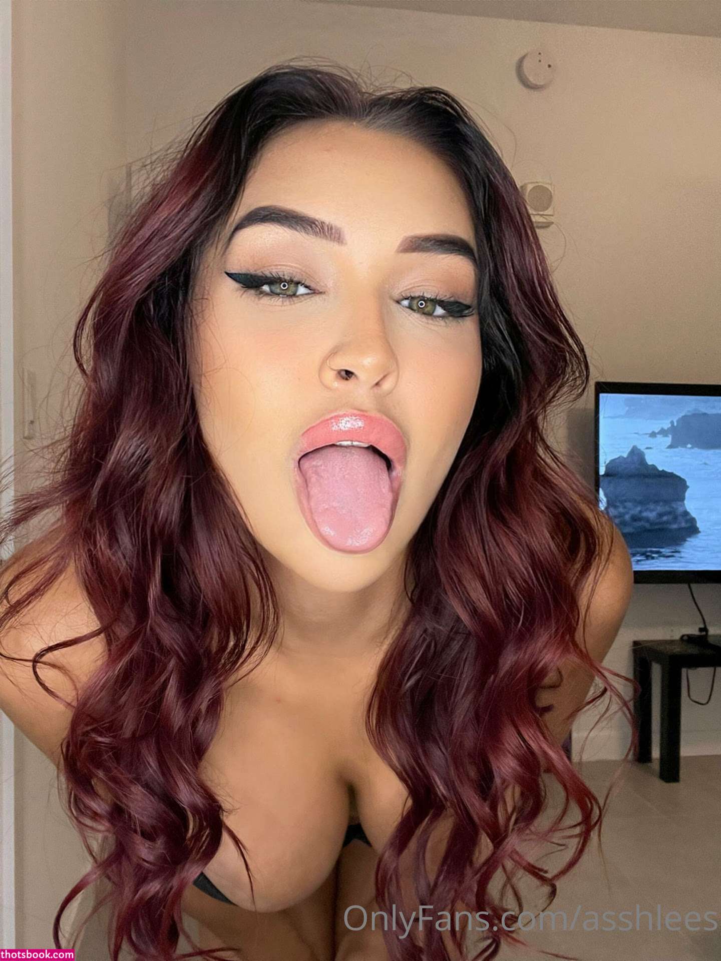 Ashleenicoleee Nude OnlyFans Photos #6 1257601