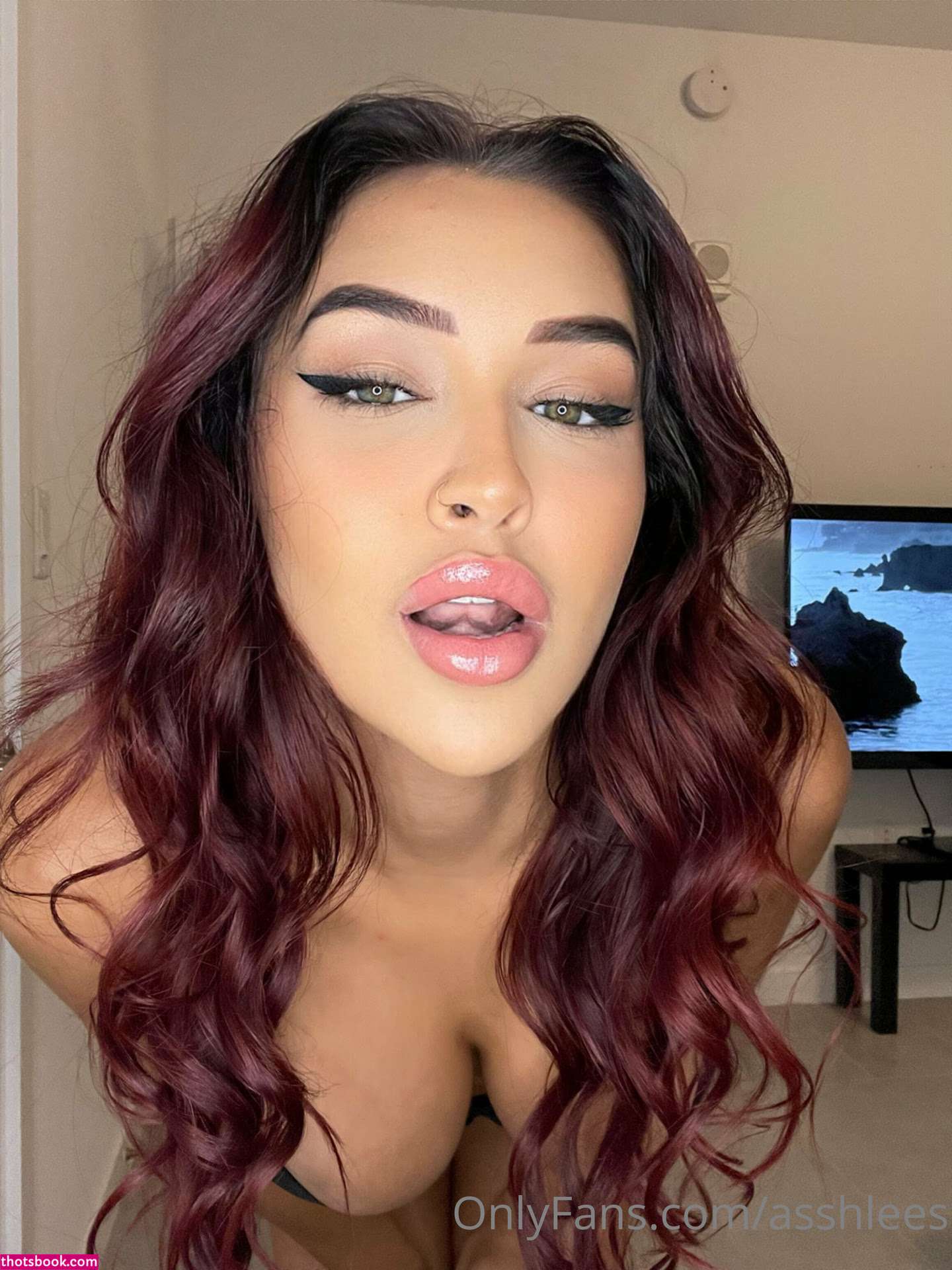 Ashleenicoleee Nude OnlyFans Photos #7 1257608