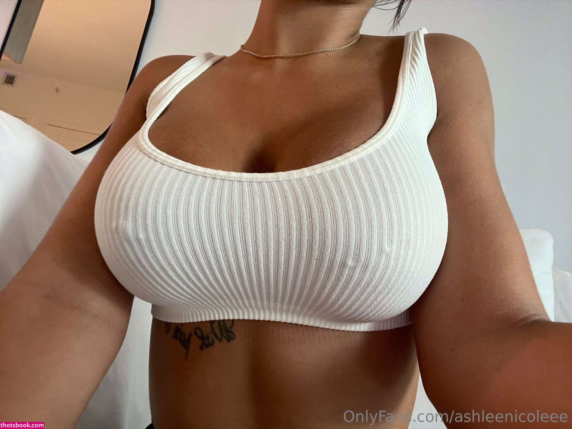 Ashleenicoleee Nude OnlyFans Photos #10 1258488