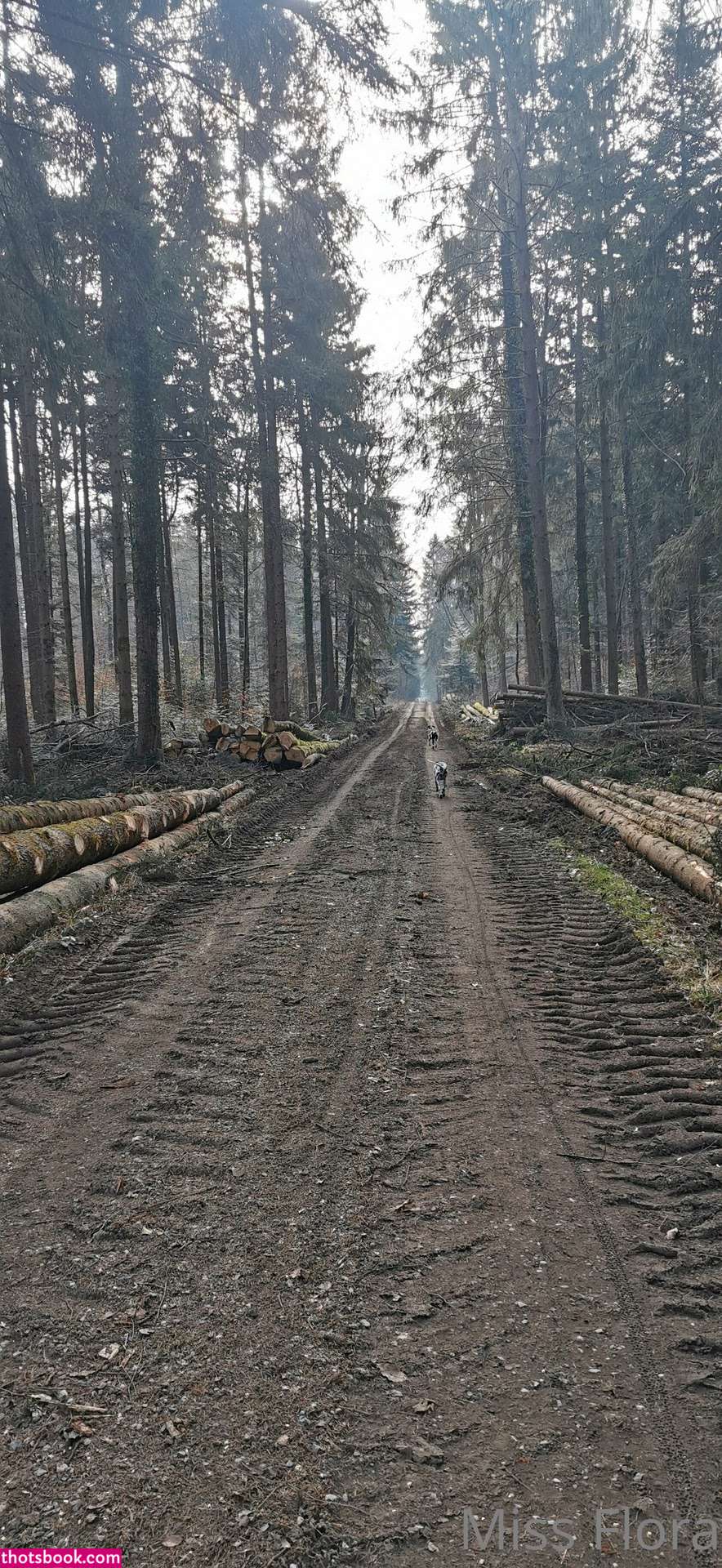 Miss Flora Femdom Miss Flora Berlin Nude OnlyFans Photos #7 1189104