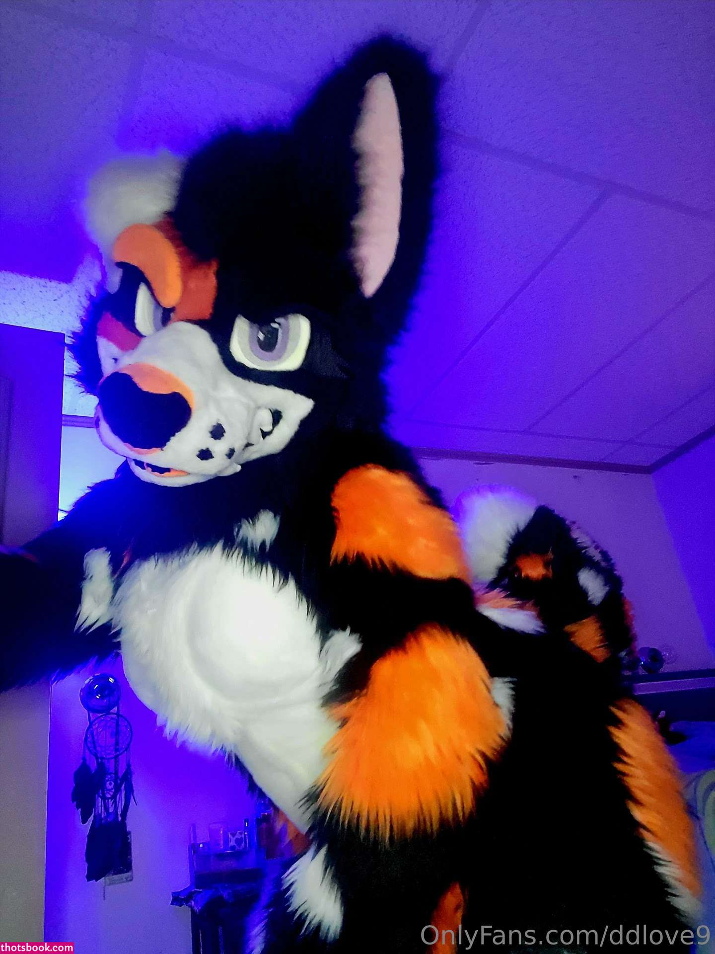 Diamondlove666 Nude OnlyFans Photos #5 1230159