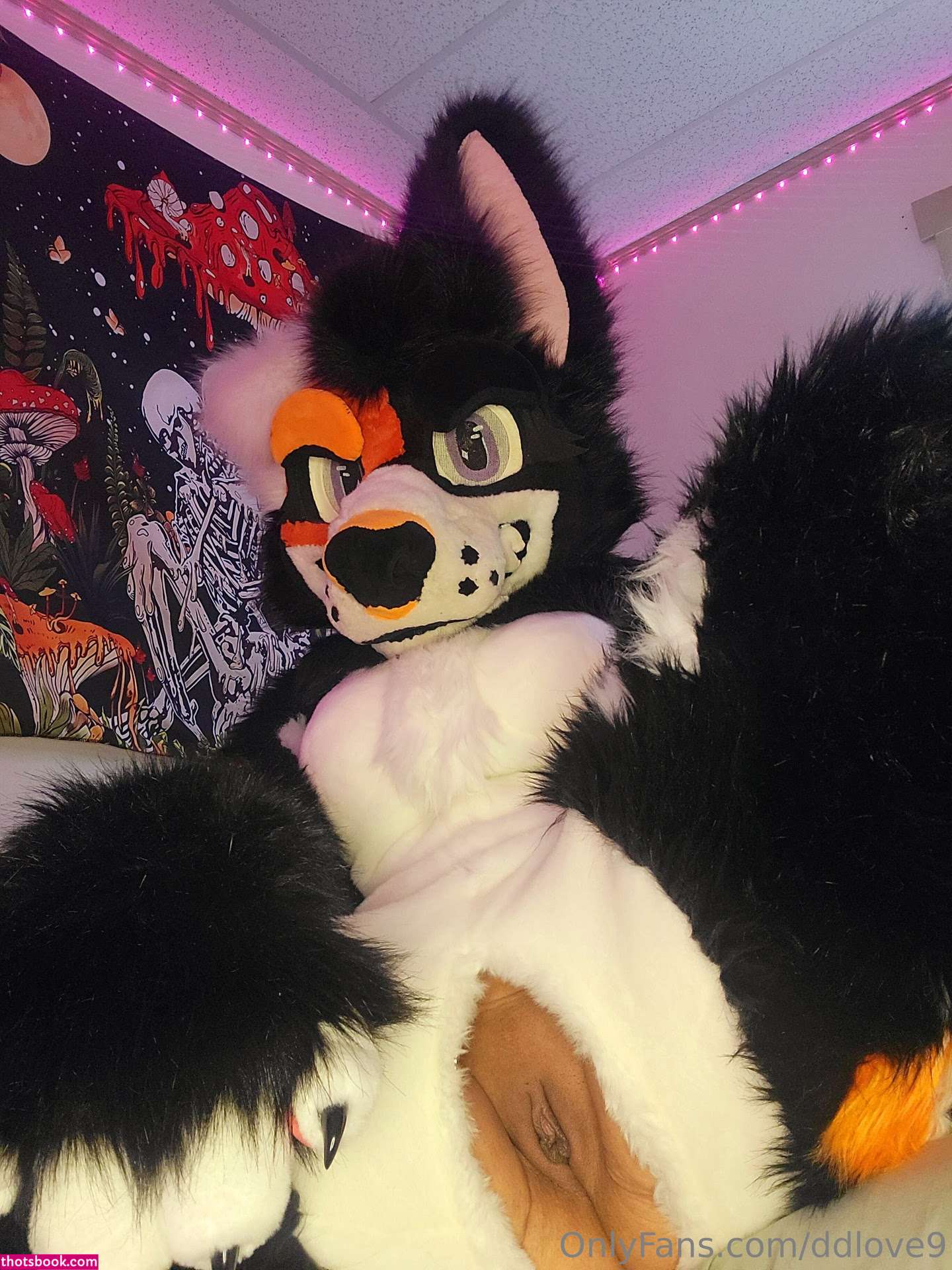 Diamondlove666 Nude OnlyFans Photos #12 1231985