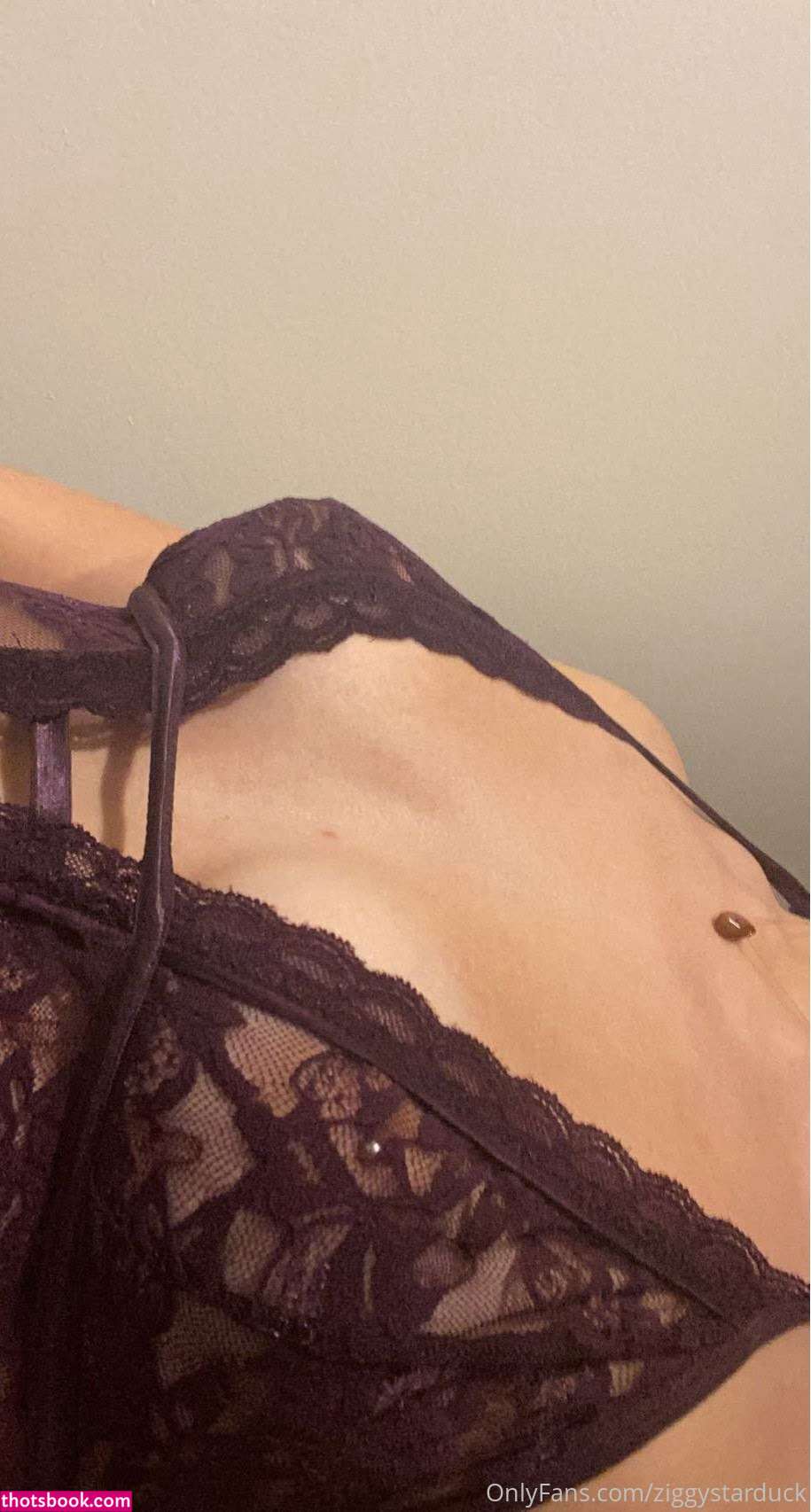 ziggystarduck Nude OnlyFans Photos #3 1196842