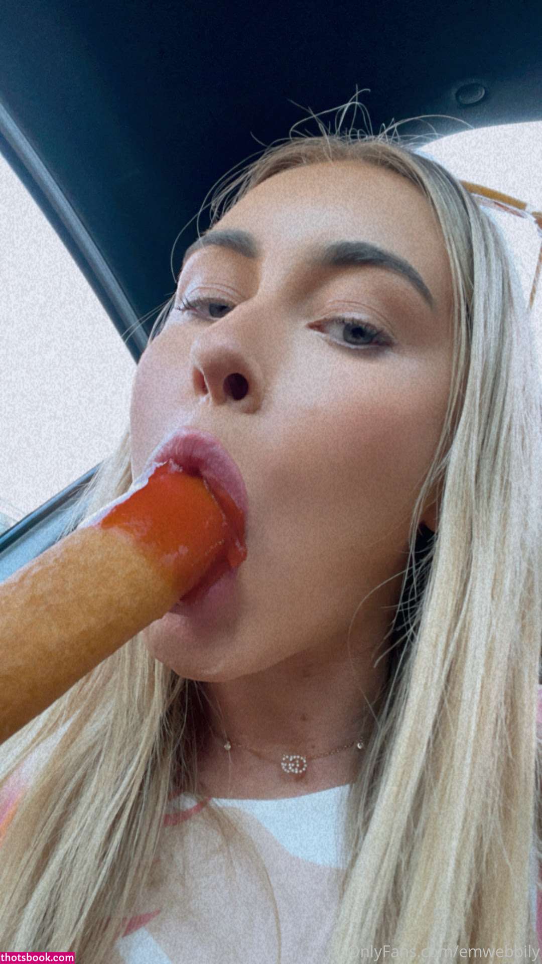 Emwebbily Nude OnlyFans Photos #10 1214712