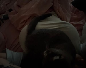 mrs gouse Nude Leaks OnlyFans Photos #2