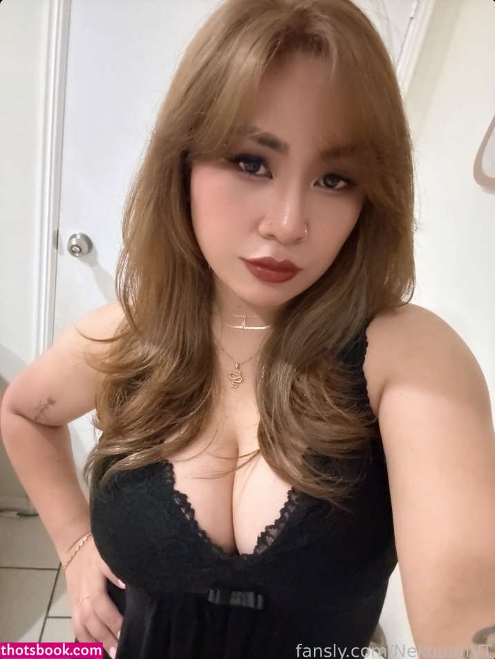 NekoPanVT DarkiPan Nude Leaks OnlyFans Photos #3 1835336