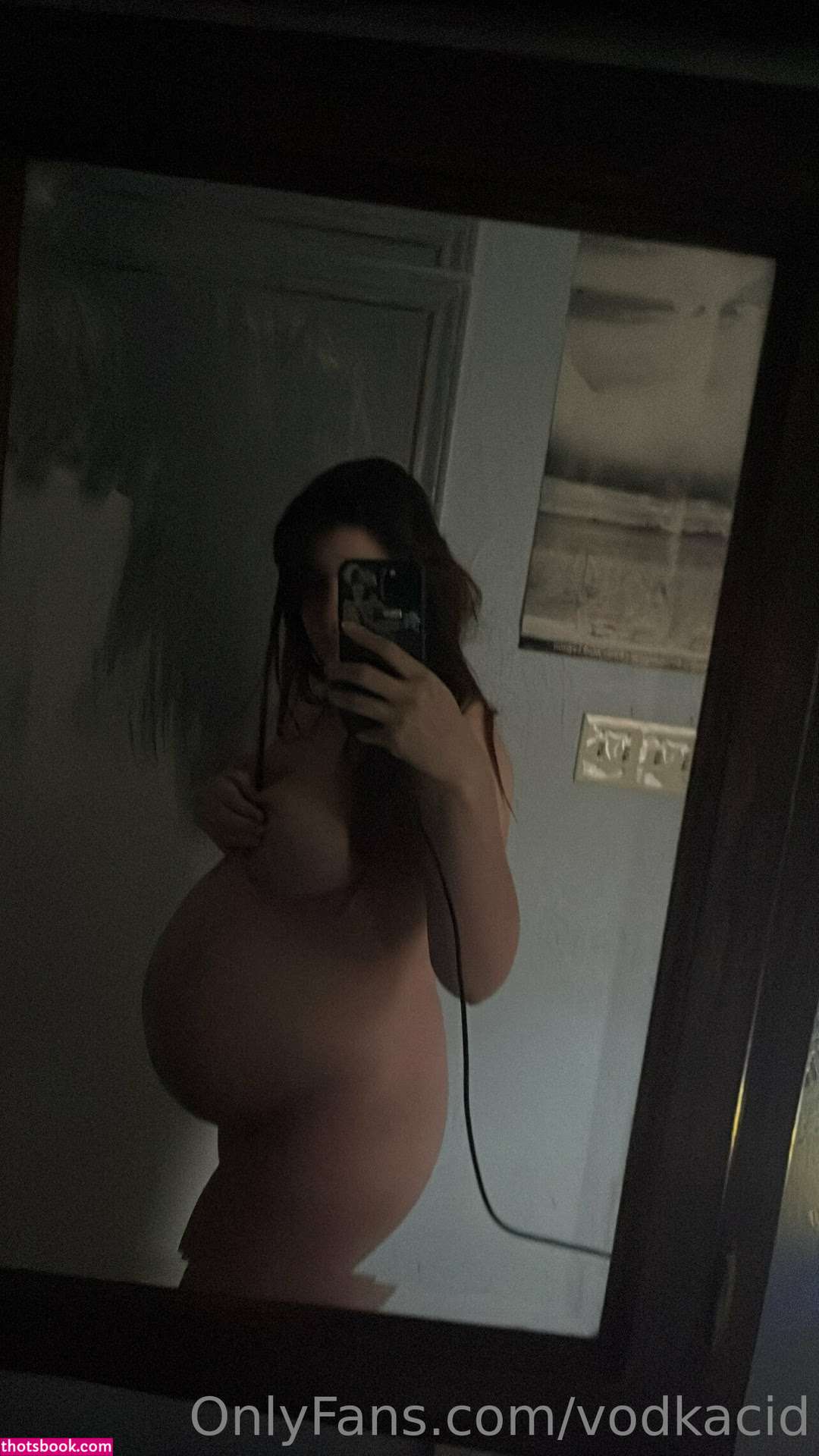 xvodkacid Nude OnlyFans Photos #5 355255