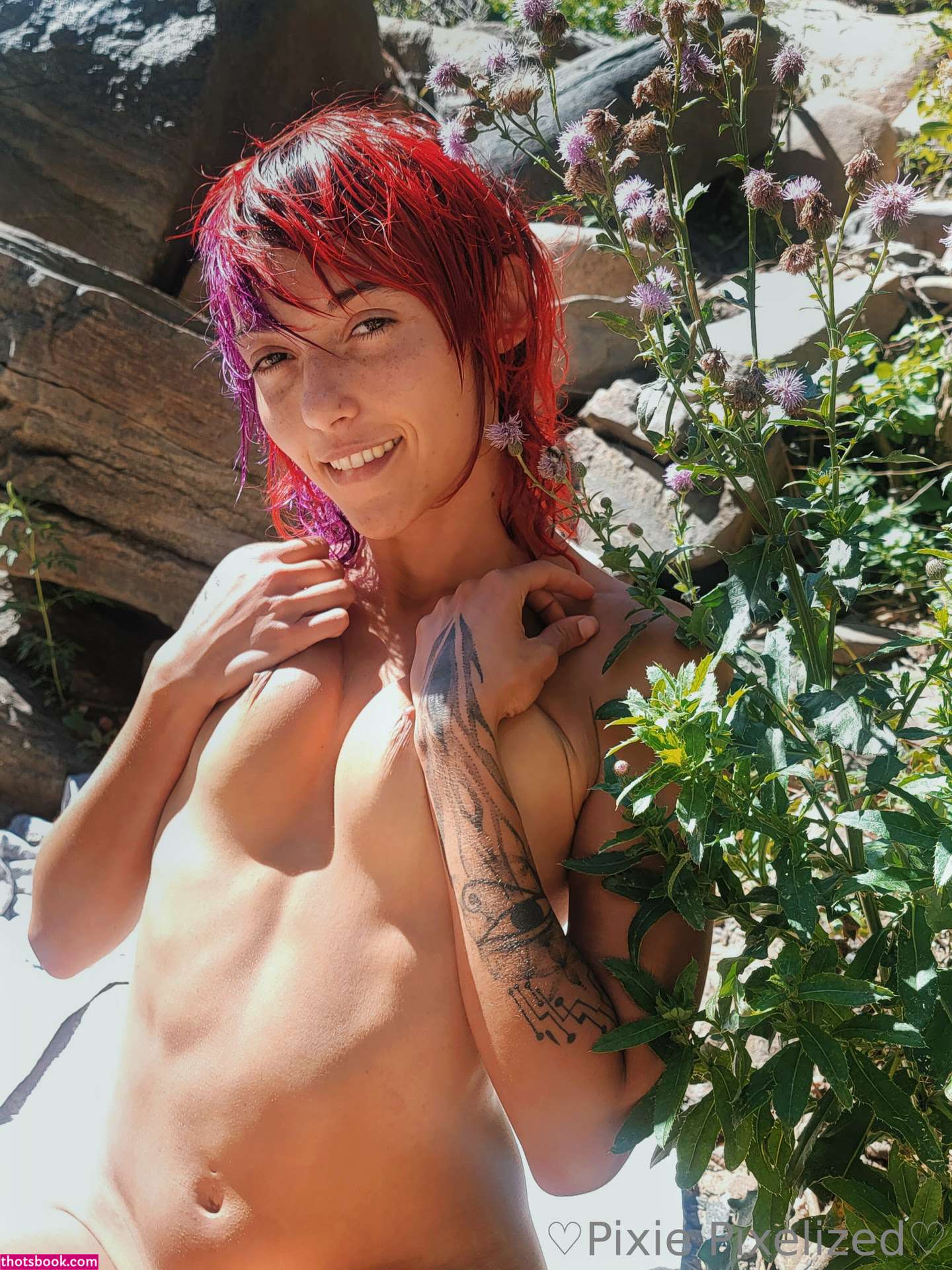 PixiePixelized Nude OnlyFans Photos #9 341758