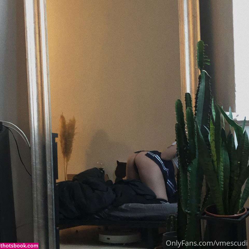 vmescudi Nude OnlyFans Photos #6 1154077