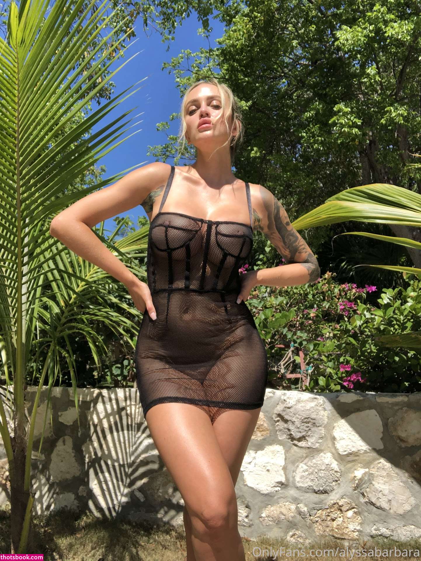 Alyssa Barbara Nude OnlyFans Photos #5 1173787