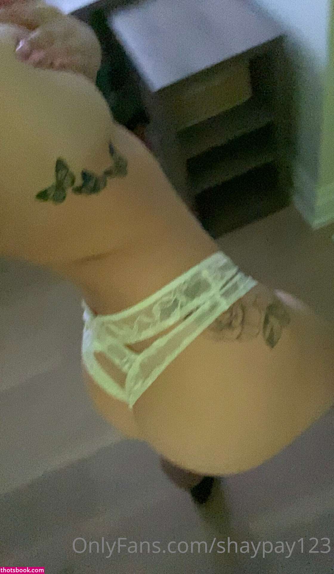 Shayna Laliberte Shaynalaliberte Shayshaypaige Shaypay123 Nude OnlyFans Photos #10 1175905