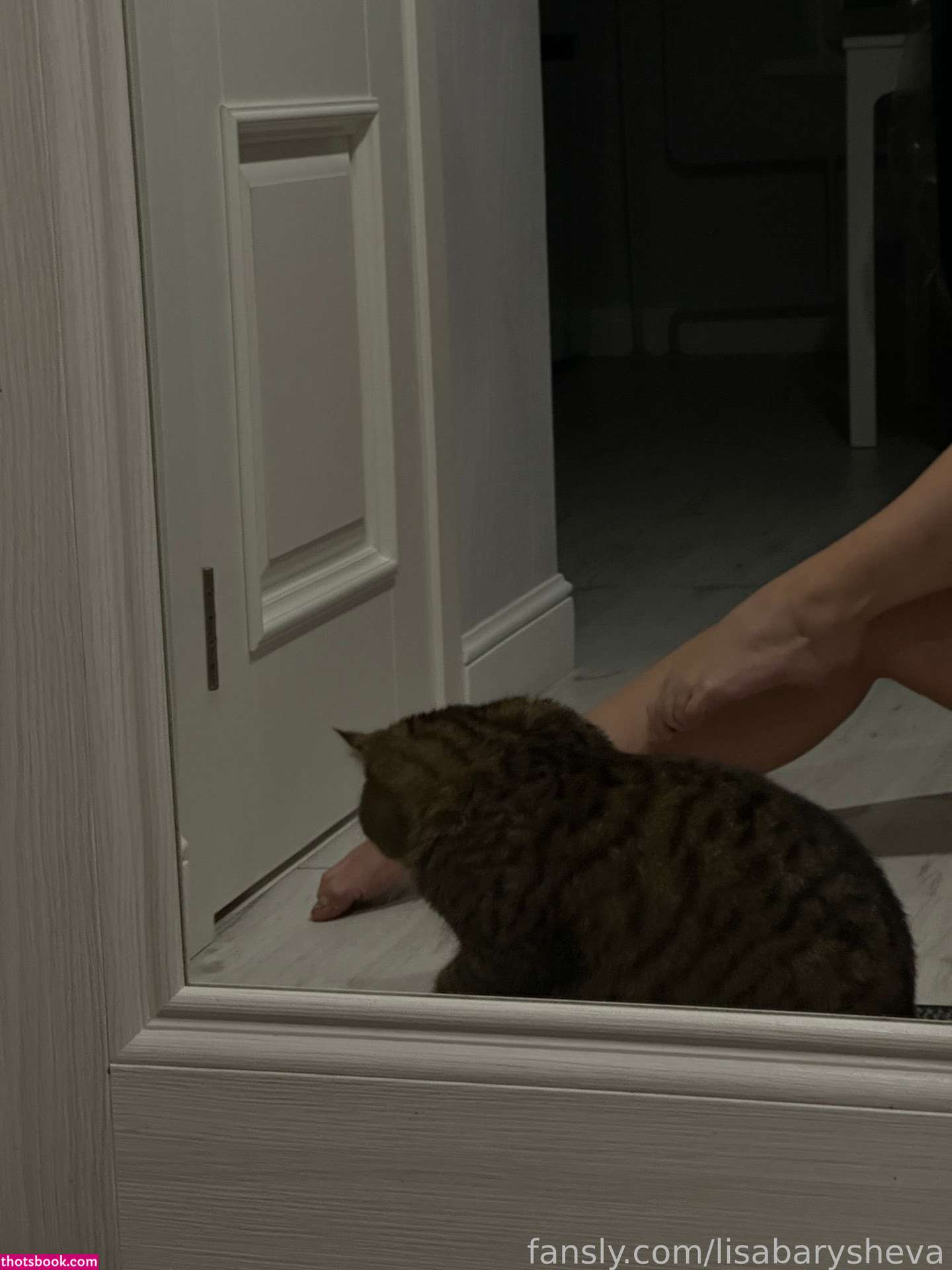 Lisa Barysheva lisabarysheva baryshevalisa Nude OnlyFans Photos #15 1130500