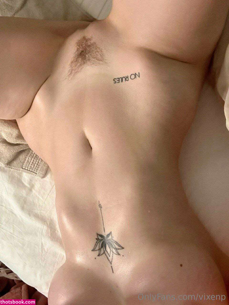 Vixenp Nude OnlyFans Photos #43 1103220