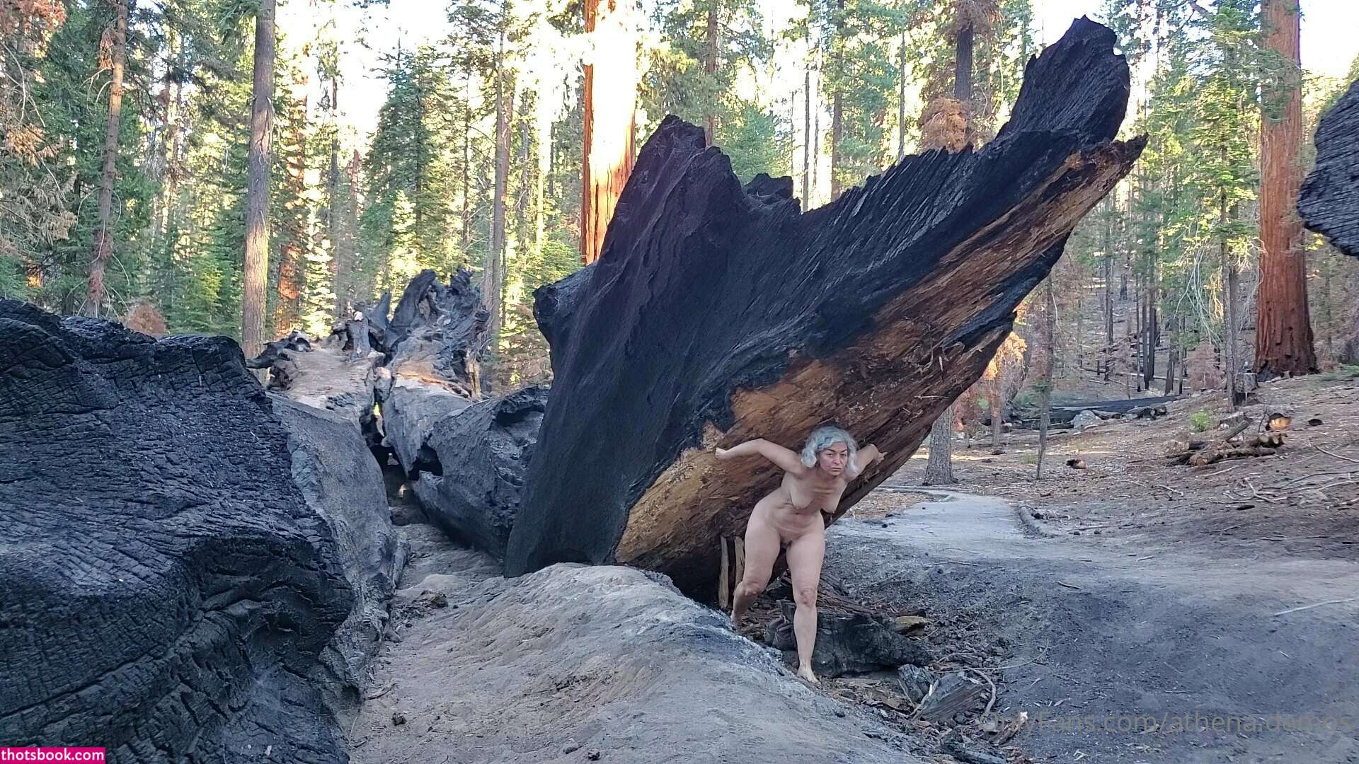 Athena Demos Aunt Athena Nude OnlyFans Photos #13 1178362