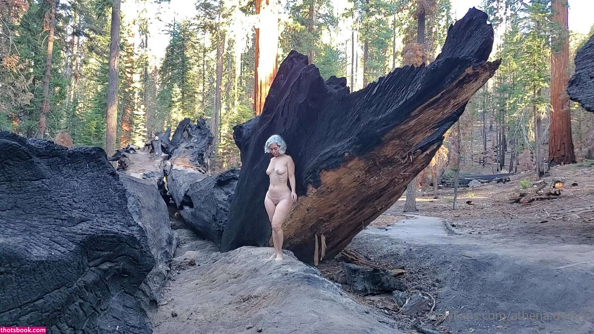 Athena Demos Aunt Athena Nude OnlyFans Photos #13 1178365