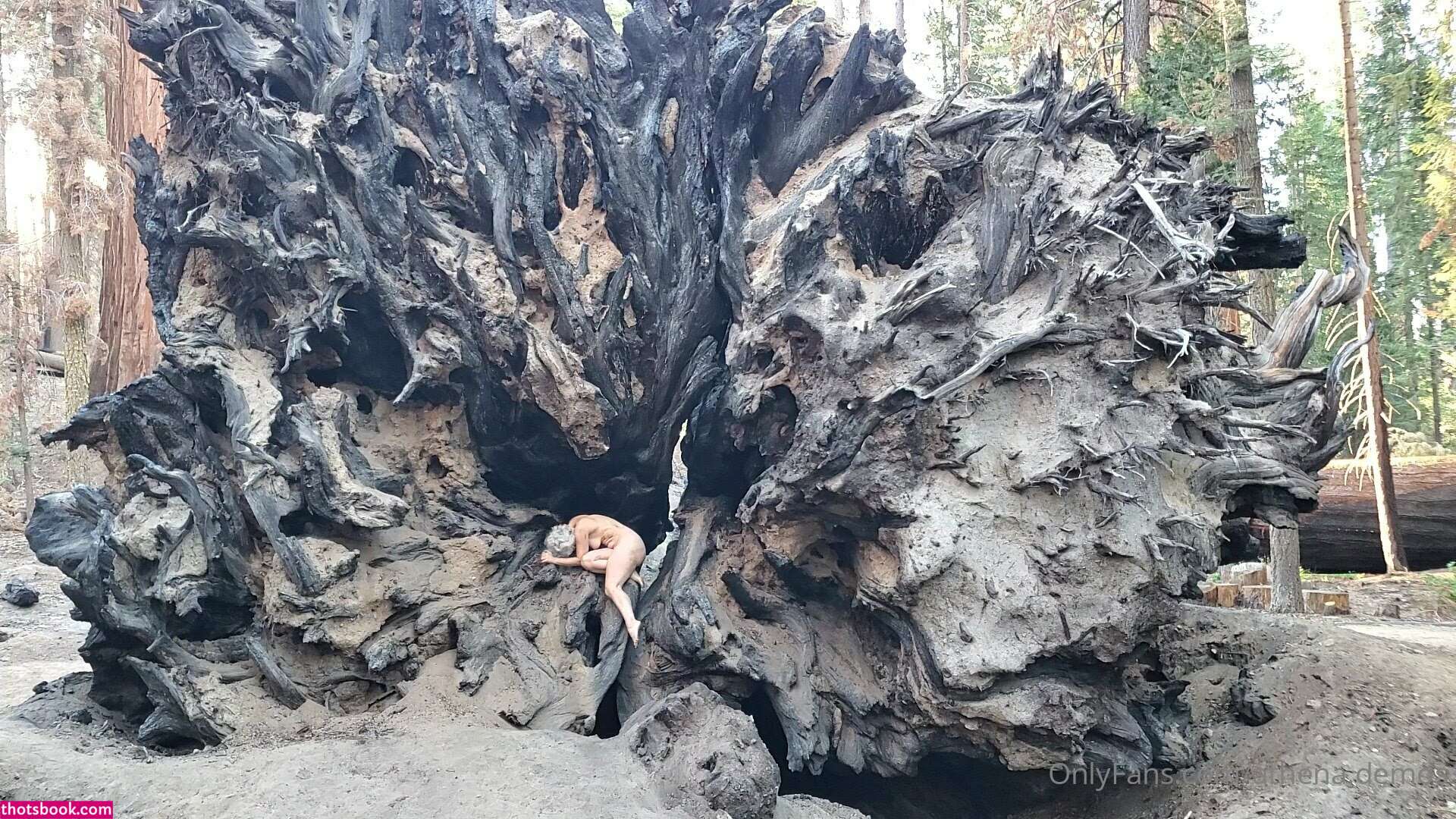 Athena Demos Aunt Athena Nude OnlyFans Photos #13 1178366